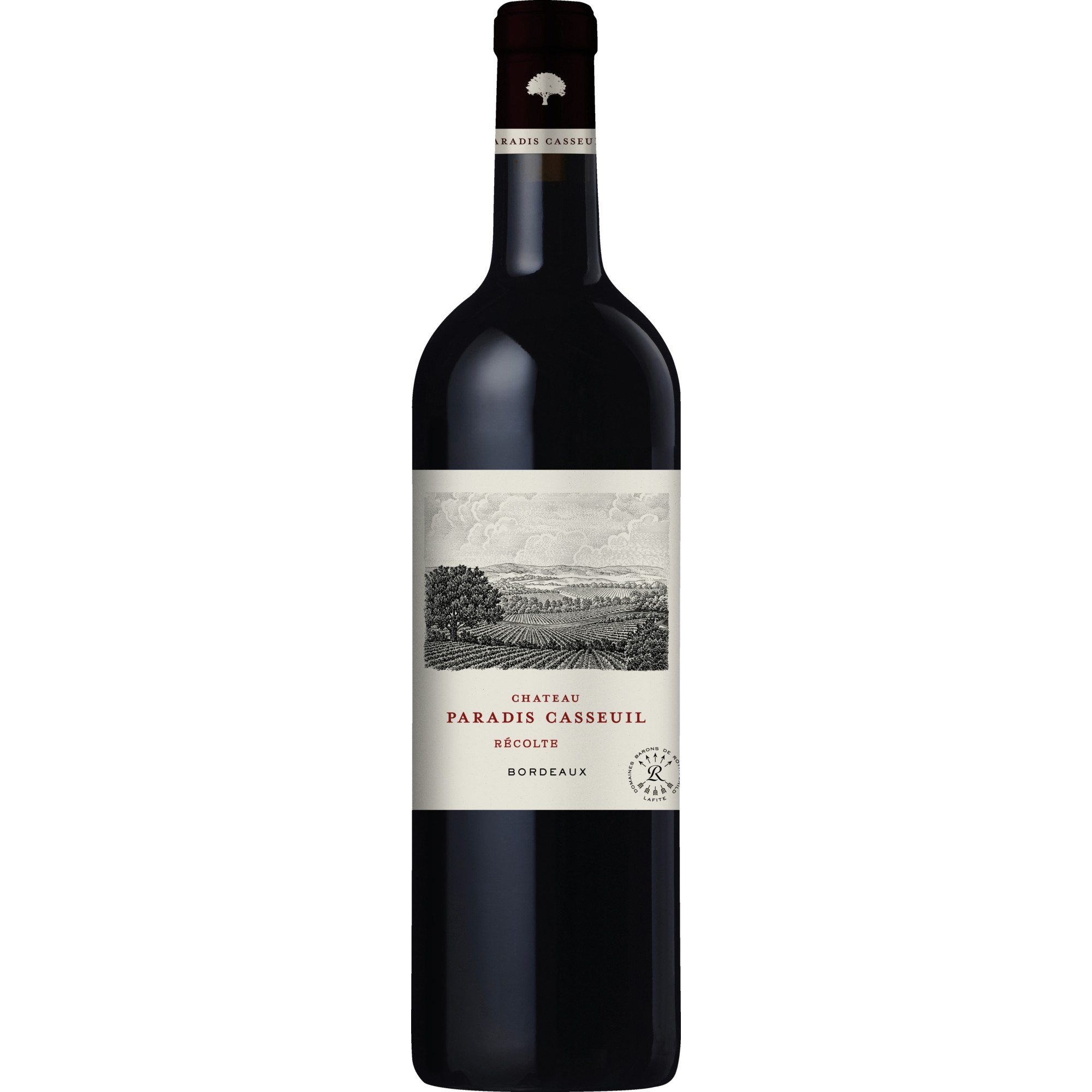 Chateau Paradis Casseuil, Bordeaux, Bordeaux, 2022, Rotwein