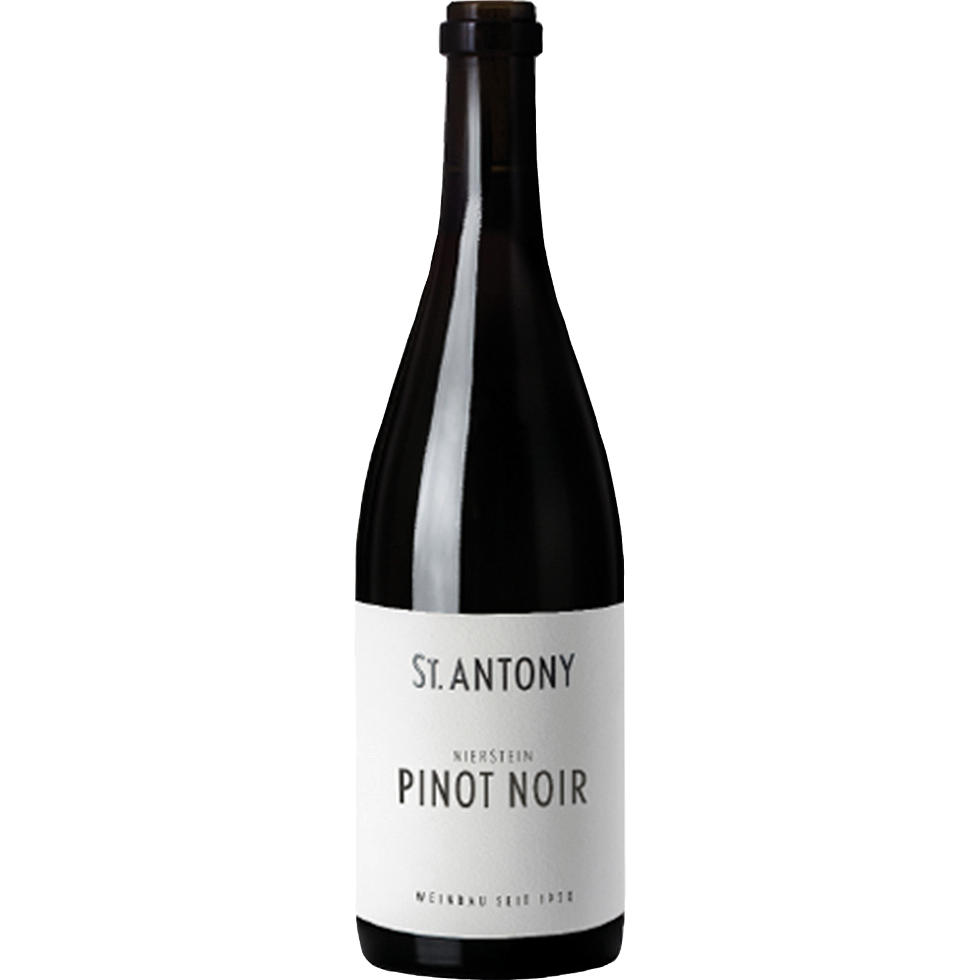 St Antony Nierstein Pinot Noir Erste Lage, Trocken, Rheinhessen, Rheinhessen, 2022, Rotwein