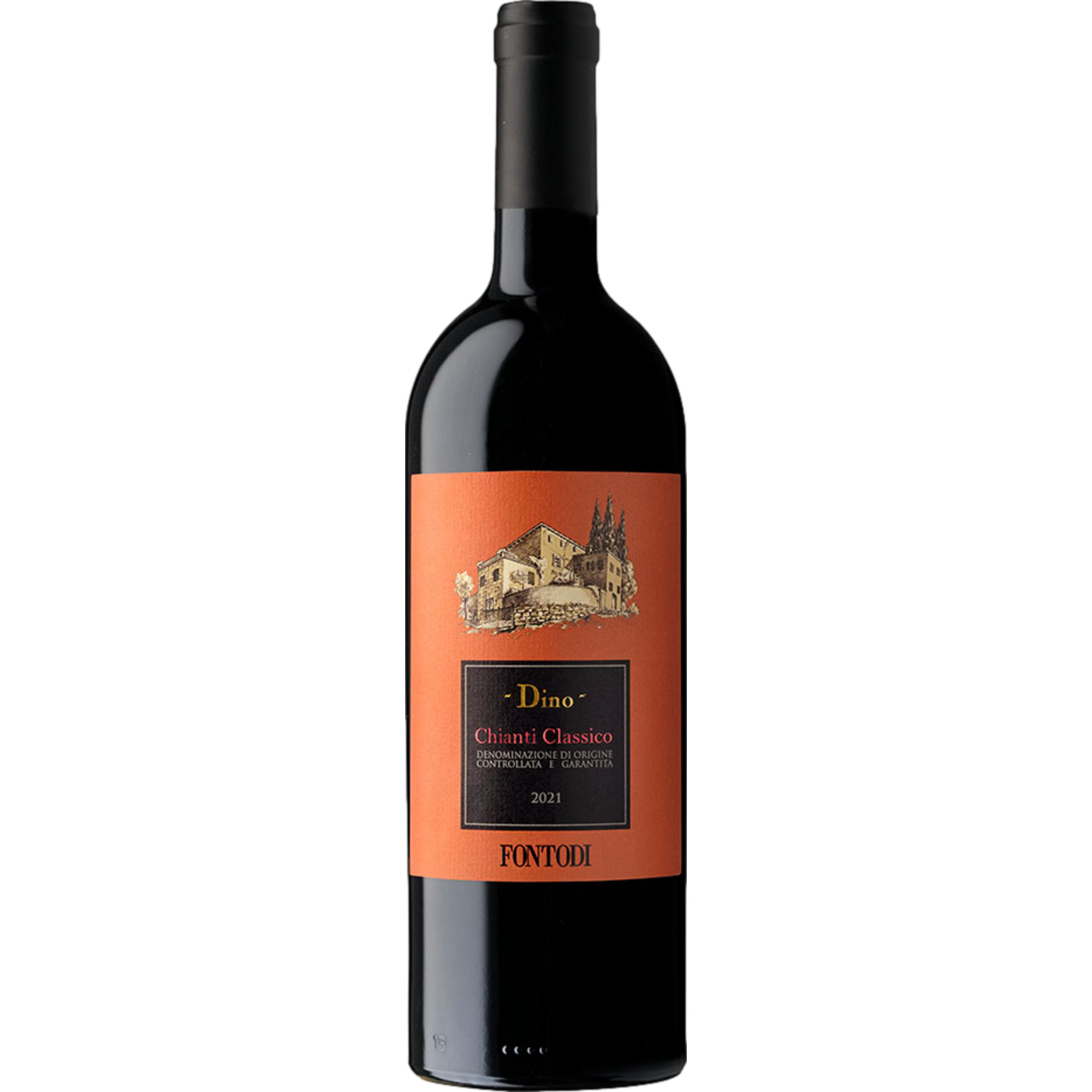 Fontodi Dino Amphorenwein, Chianti Classico DOCG, Toskana, 2021, Rotwein