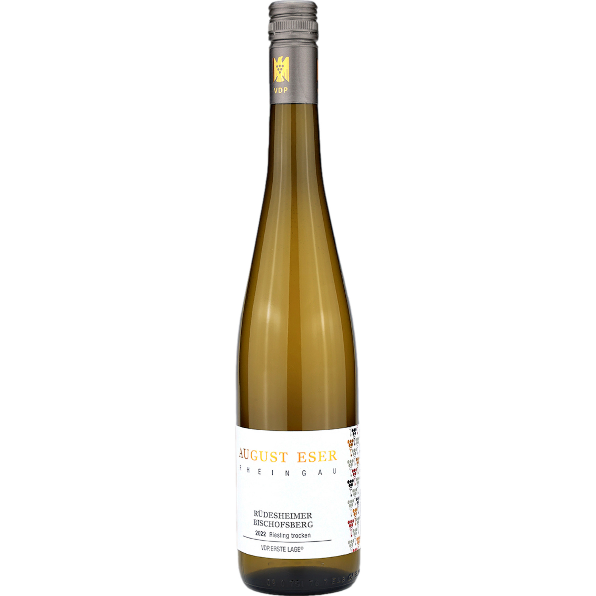 Hattenheimer Engelmannsberg Riesling, Trocken, Rheingau, Rheingau, 2023, Weißwein