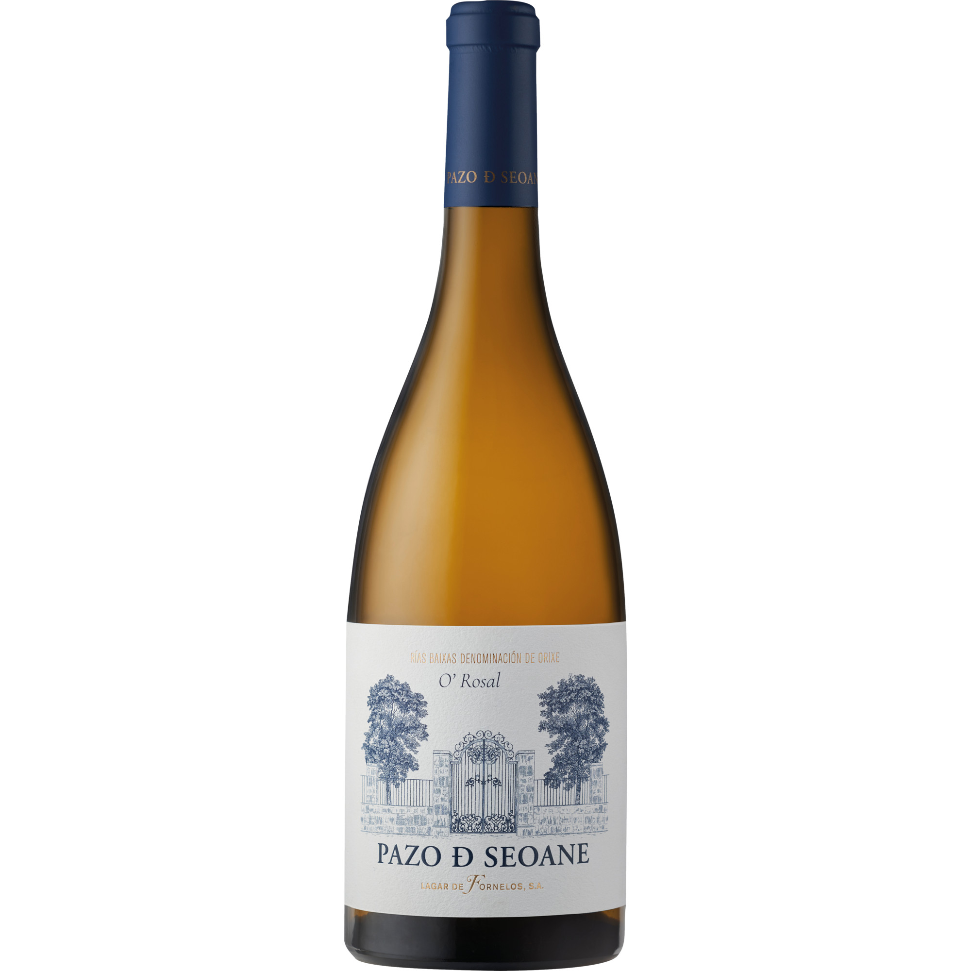 Pazo De Seoane, Rías Baixas DO, Galicien, 2024, Weißwein