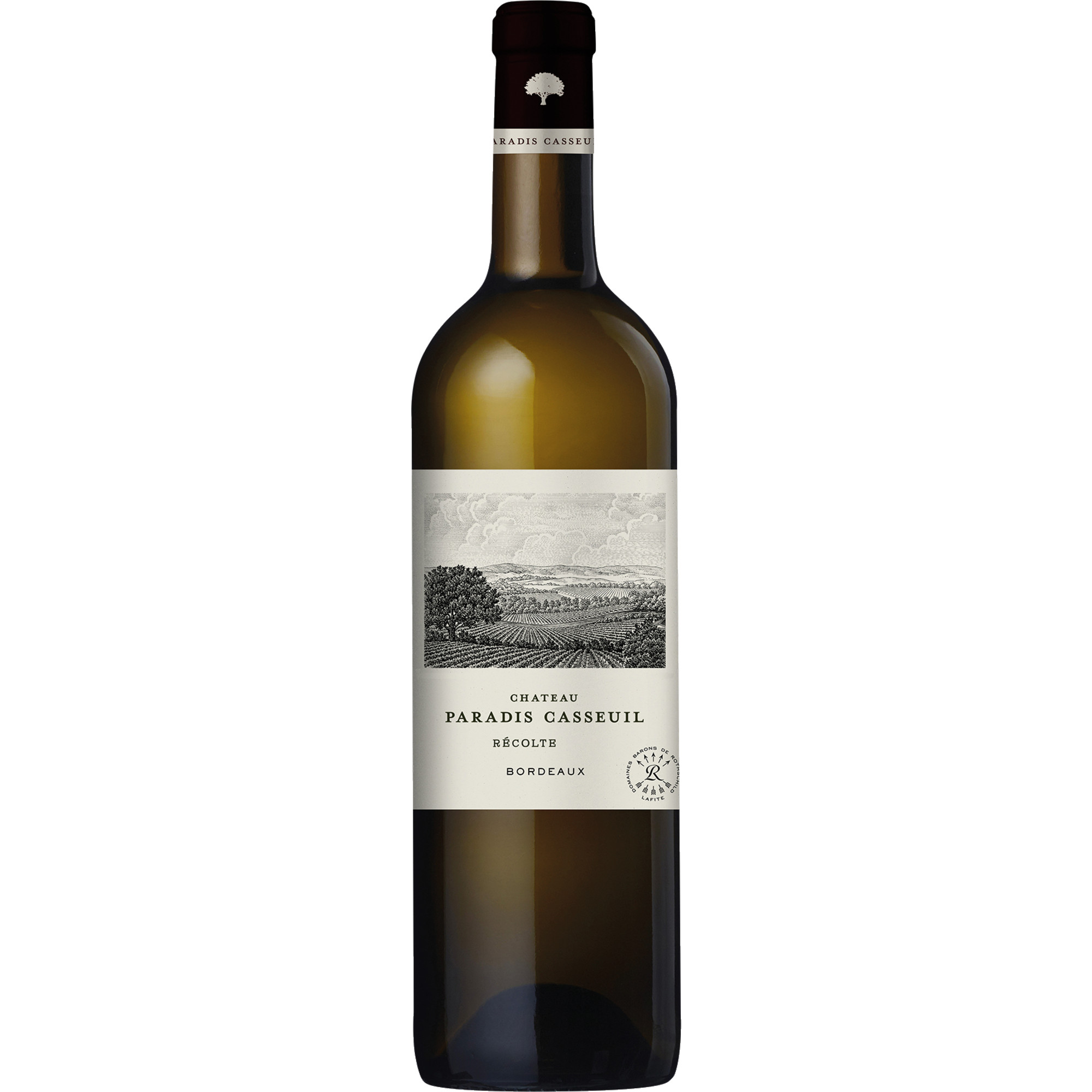 Chateau Paradis Casseuil Blanc, Bordeaux AOP, Bordeaux, 2024, Weißwein
