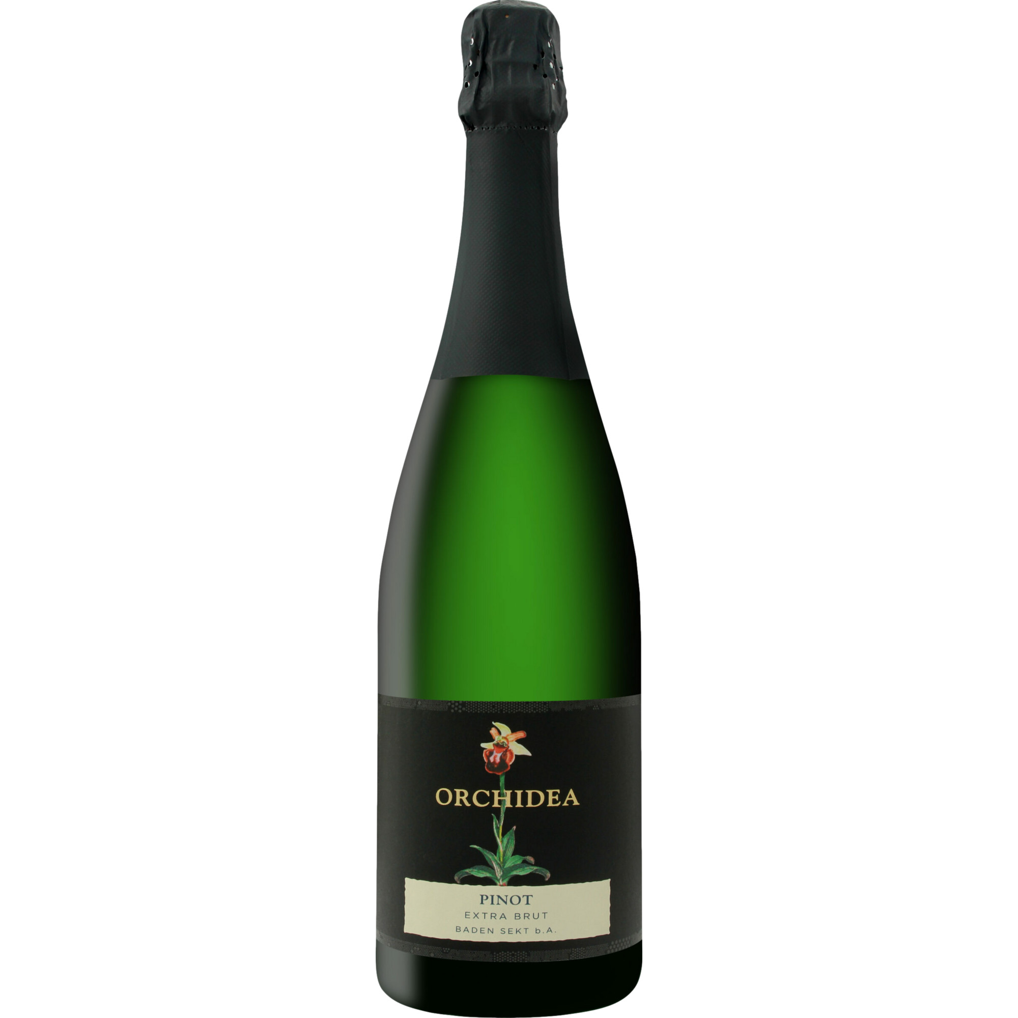 Image of Pinot Sekt Edition Orchidea, Extra Brut, Baden, Baden, 2021, Schaumwein