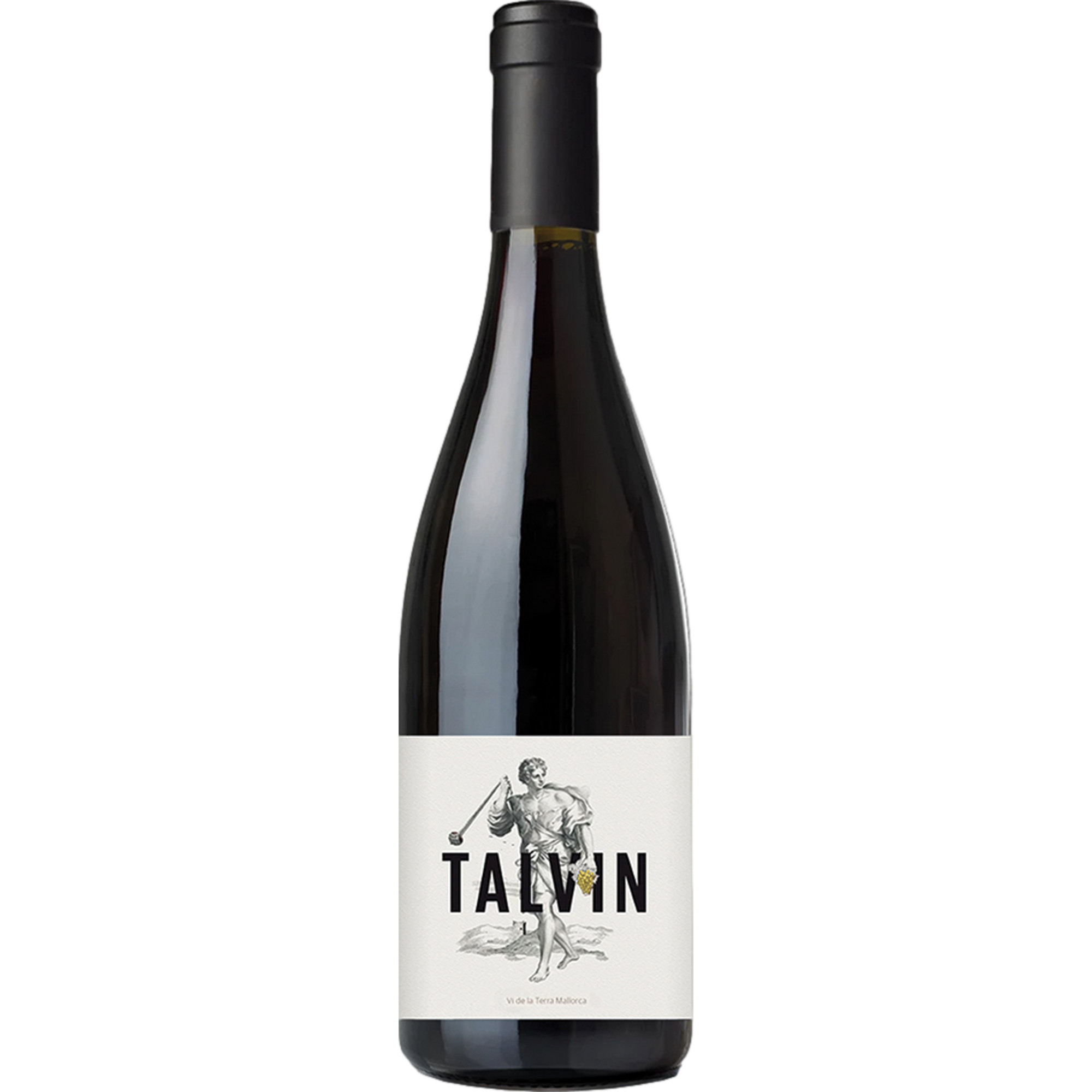 Finca Ses Talaioles Talvin, Vi de la Terra Mallorca, Balearische Inseln, 2024, Rotwein
