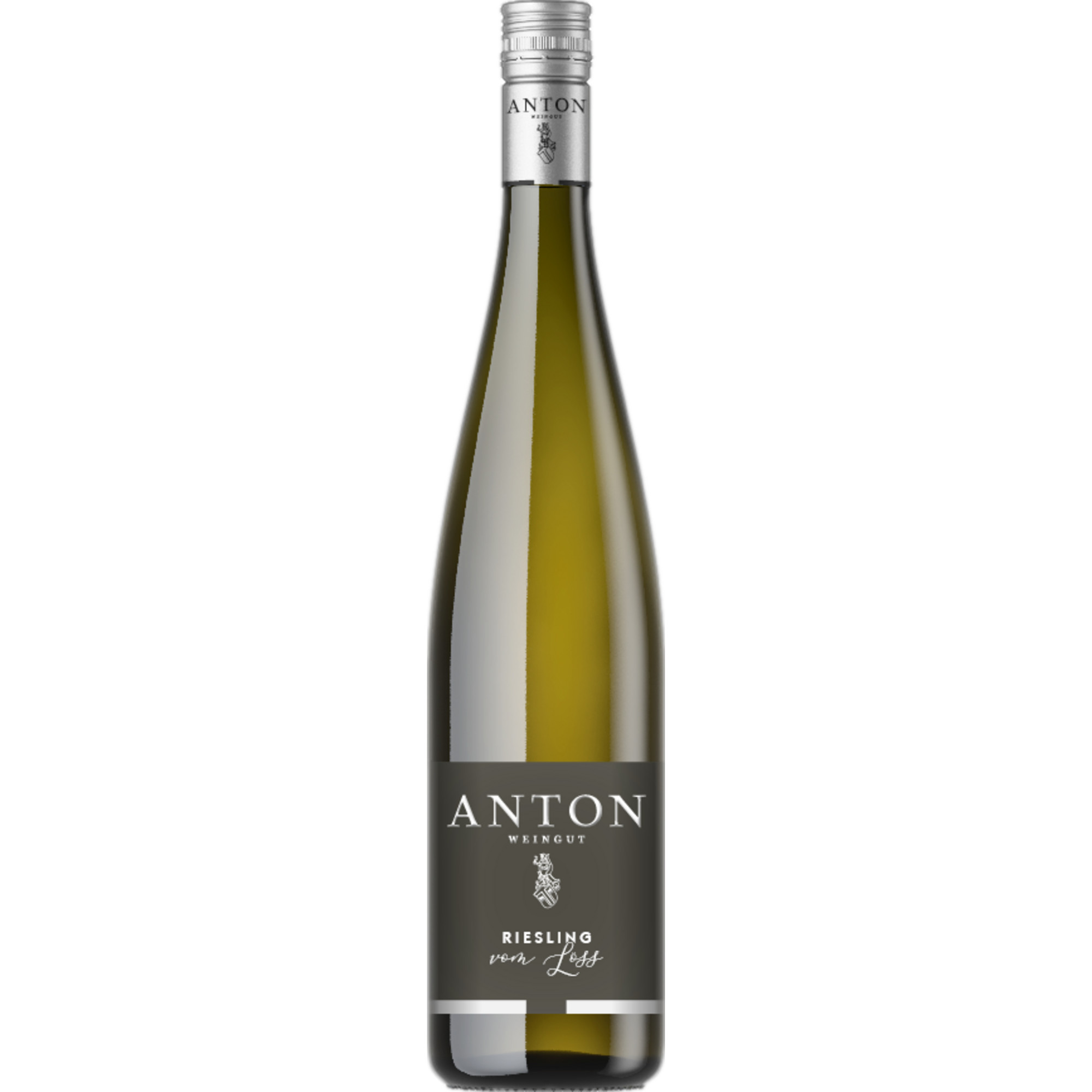 Matthias Anton Riesling vom Löss, Trocken, Pfalz, Pfalz, 2024, Weißwein