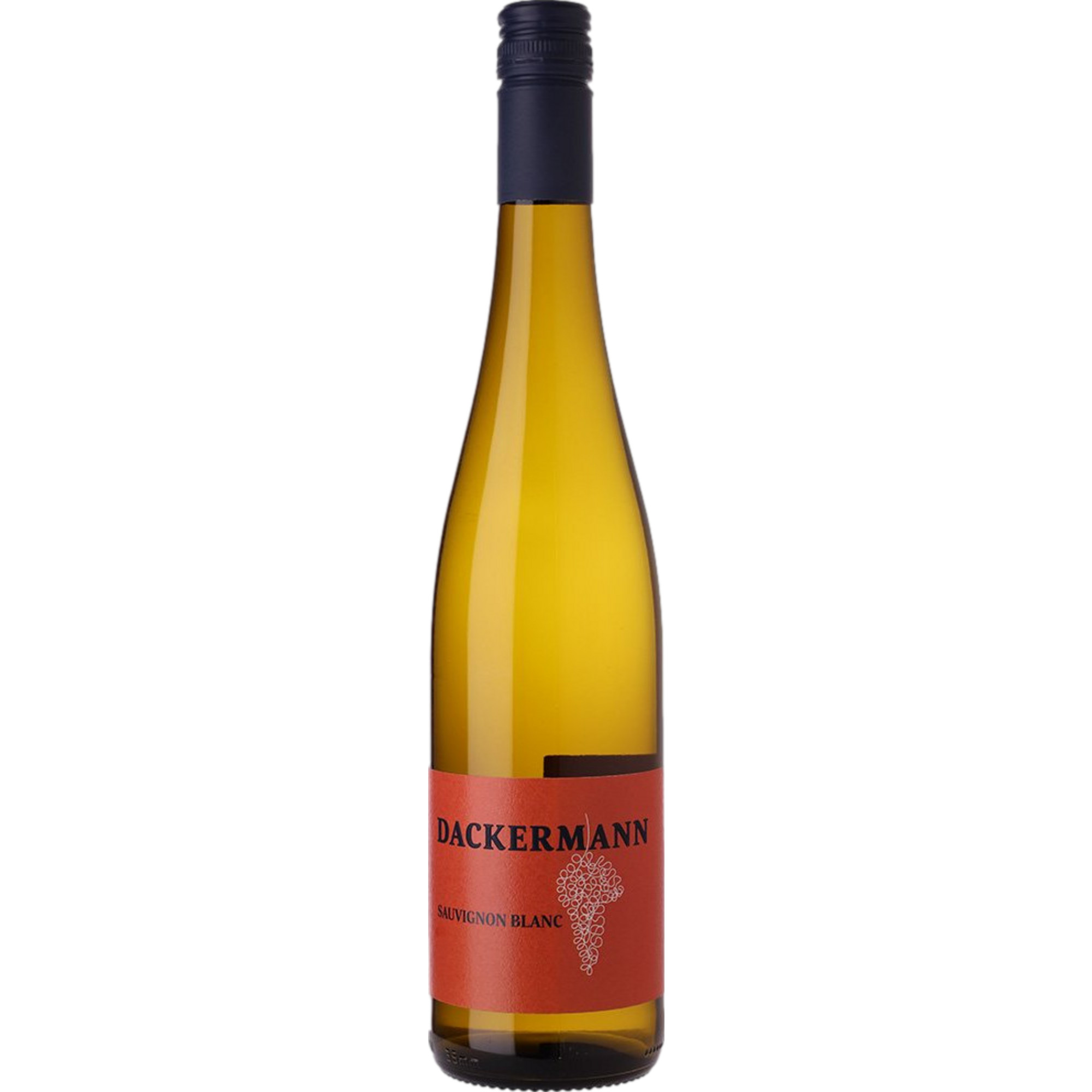 Dackermann Sauvignon Blanc, Trocken, Rheinhessen, Rheinhessen, 2024, Weißwein