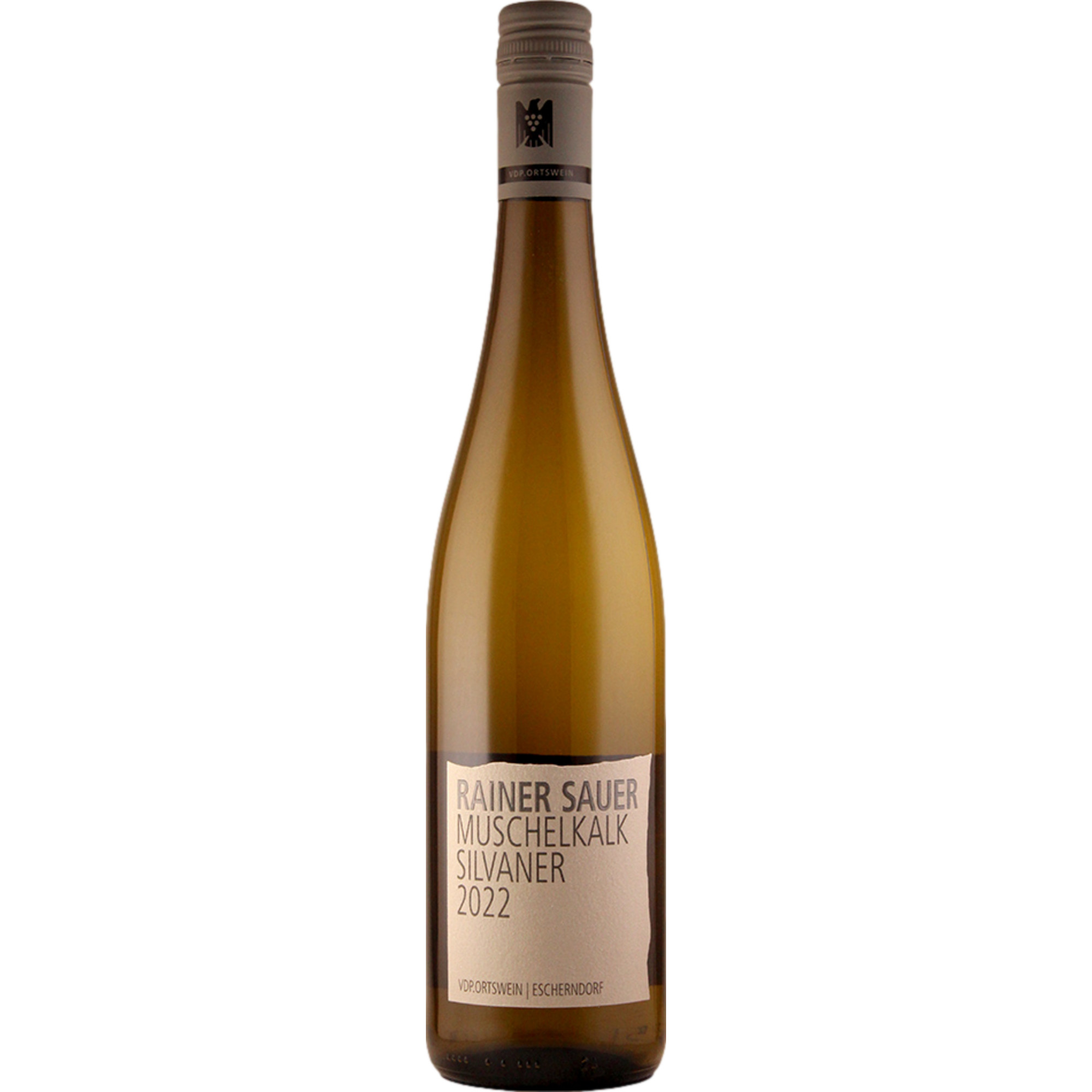 Rainer Sauer Escherndorf Silvaner Muschelkalk, Trocken, Franken, Franken, 2023, Weißwein