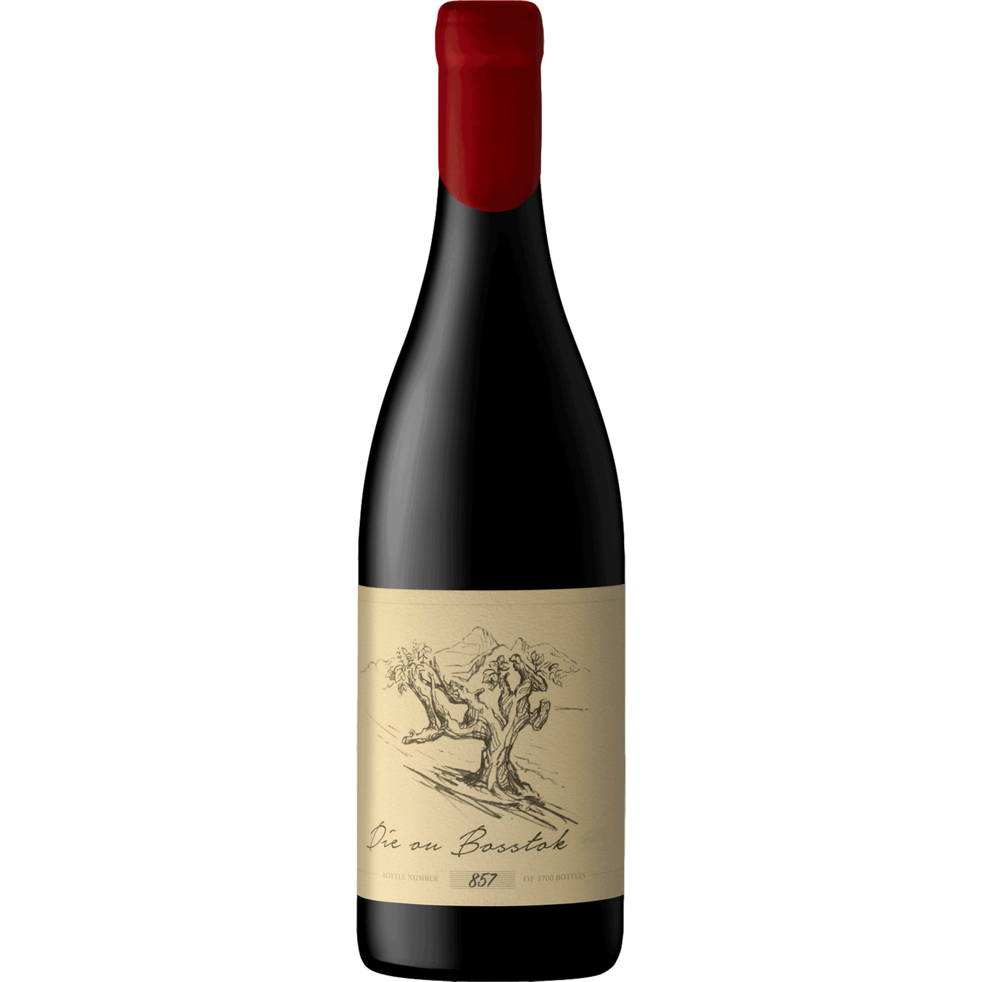 Anthonij Rupert Die Ou Bosstok Cinsault, WO Swartland, Western Cape, 2024, Rotwein
