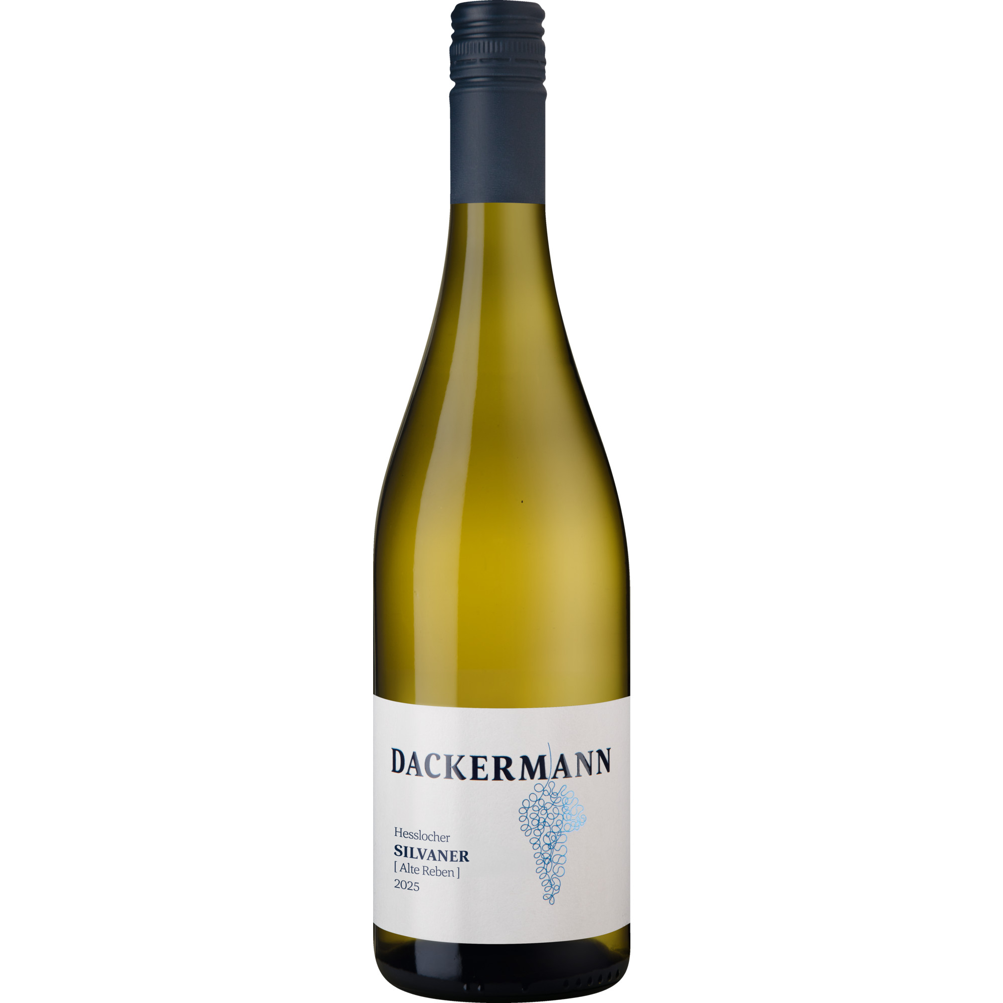 Hesslocher Silvaner Alte Reben, Trocken, Rheinhessen, Rheinhessen, 2025, Weißwein