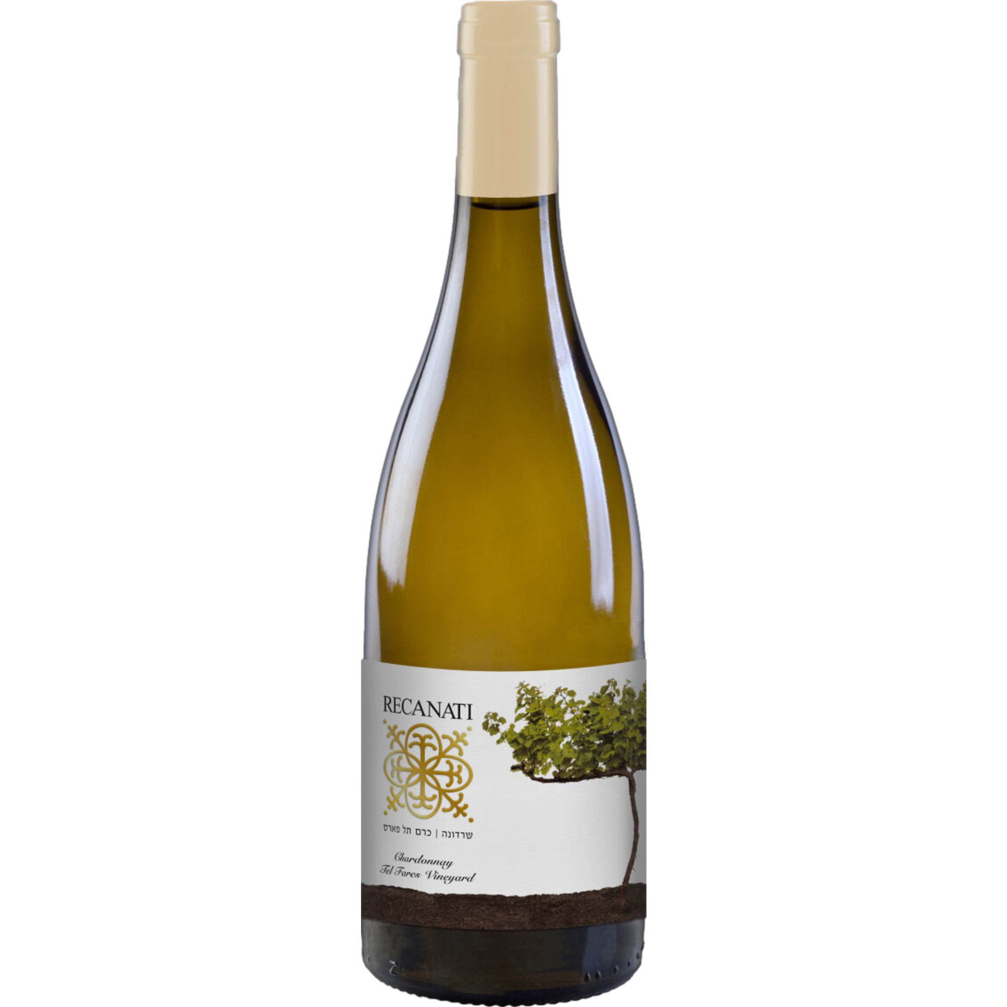 Recanati Tel Fares Chardonnay Reserve, Galilee, Galilee, 2021, Weißwein