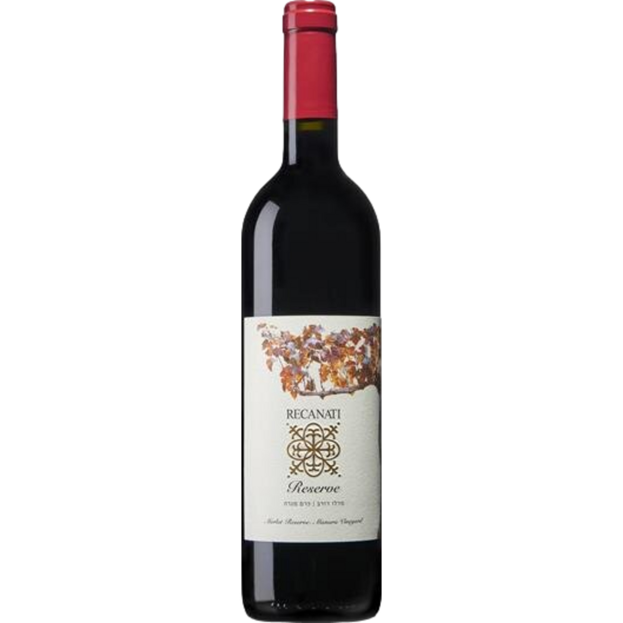 Recanati Reserve Merlot, Galilee, Galilee, 2017, Rotwein