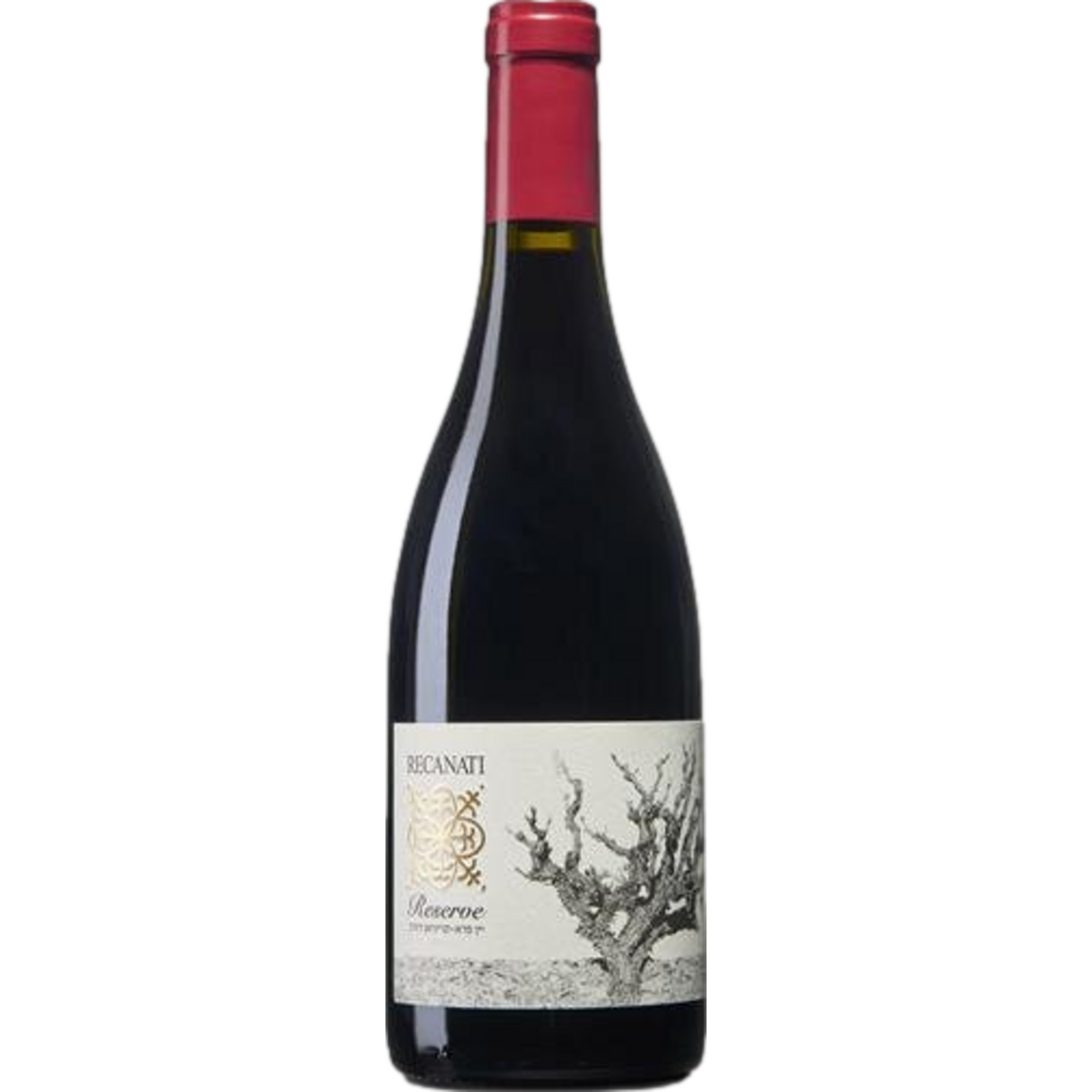 Recanati Wild Carignan Reserve, Galilee, Galilee, 2020, Rotwein