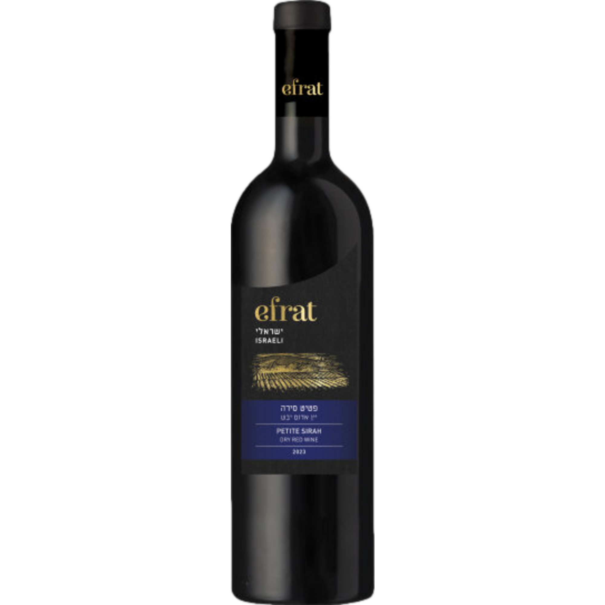 Efrat Israeli Petite Sirah, Samson, Samson, 2023, Rotwein