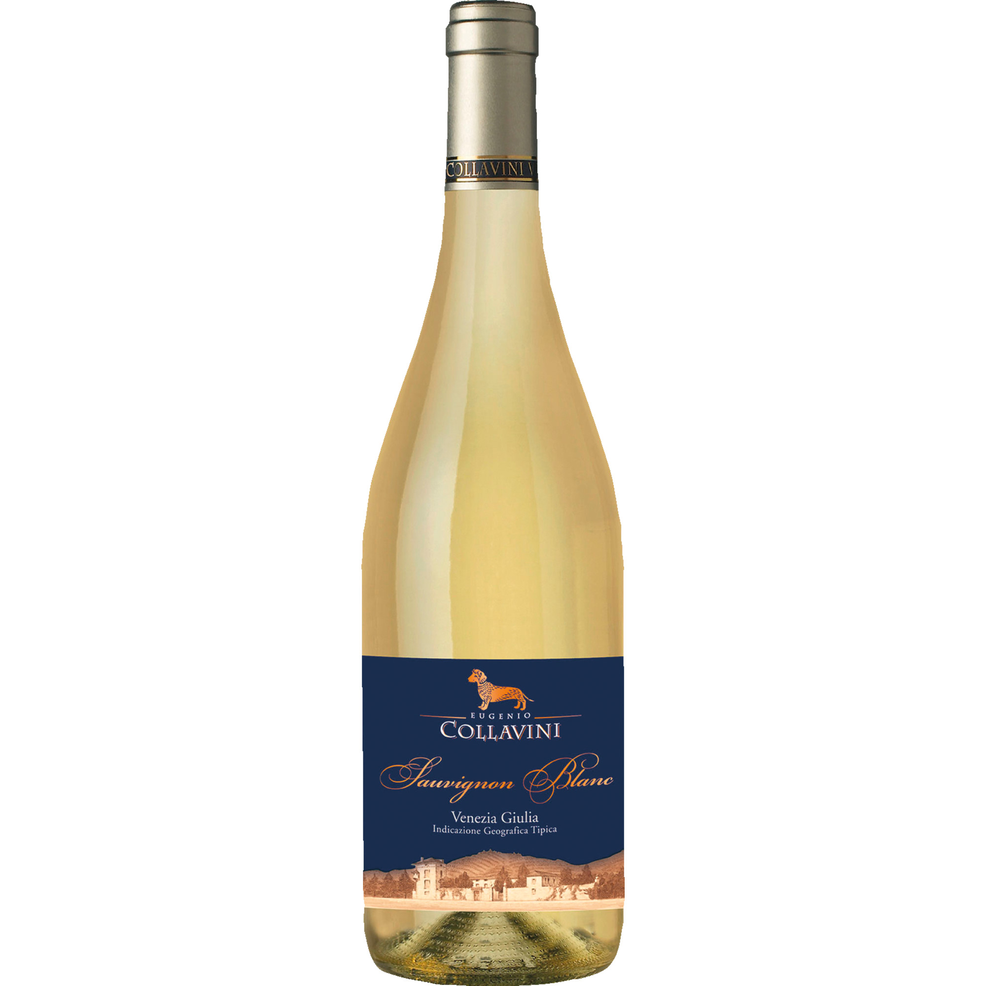 Collavini Sauvignon Blanc, Venezia Giulia IGT, Friaul, 2024, Weißwein
