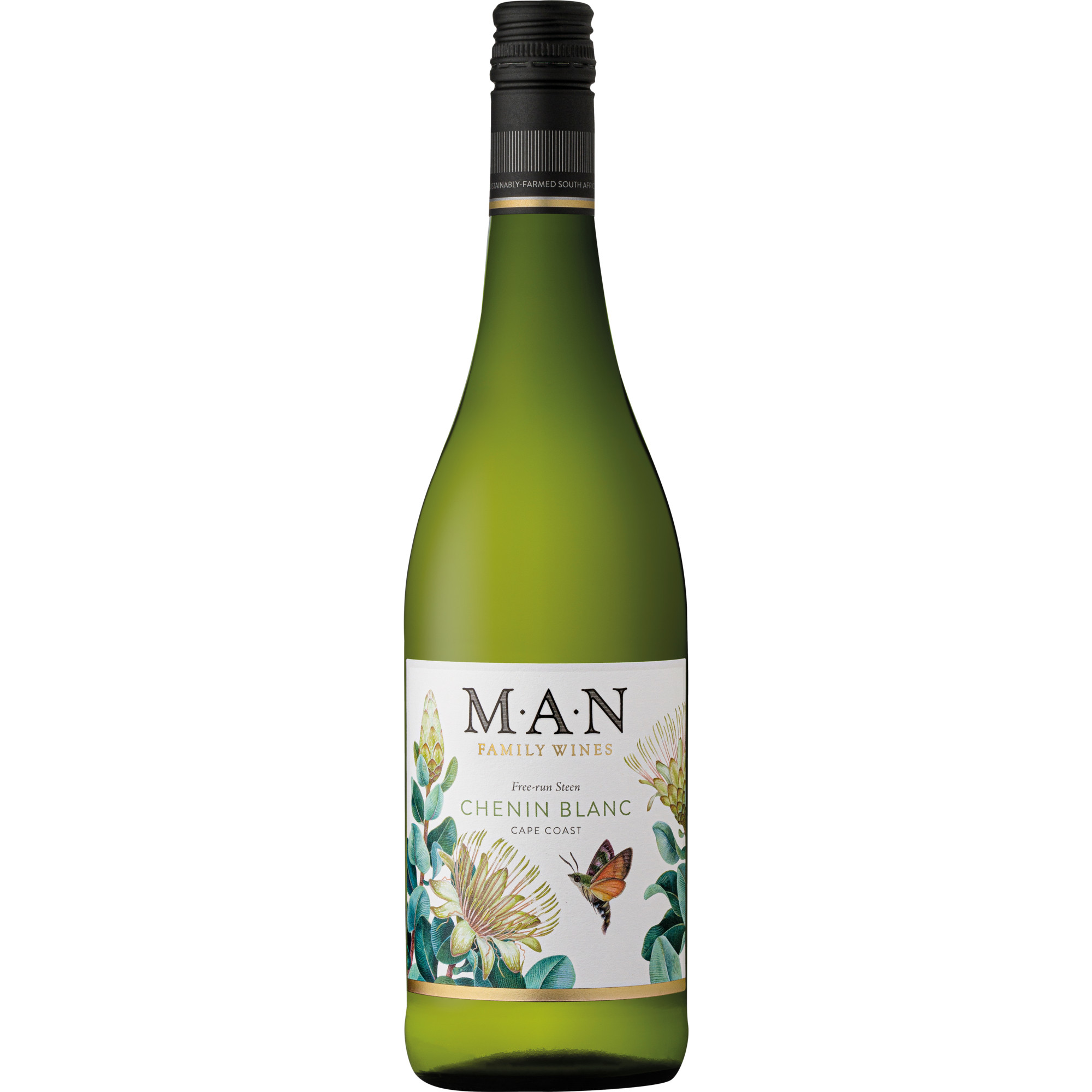 Free-run Steen Chenin Blanc, Cape Coast, Western Cape, Western Cape, 2025, Weißwein