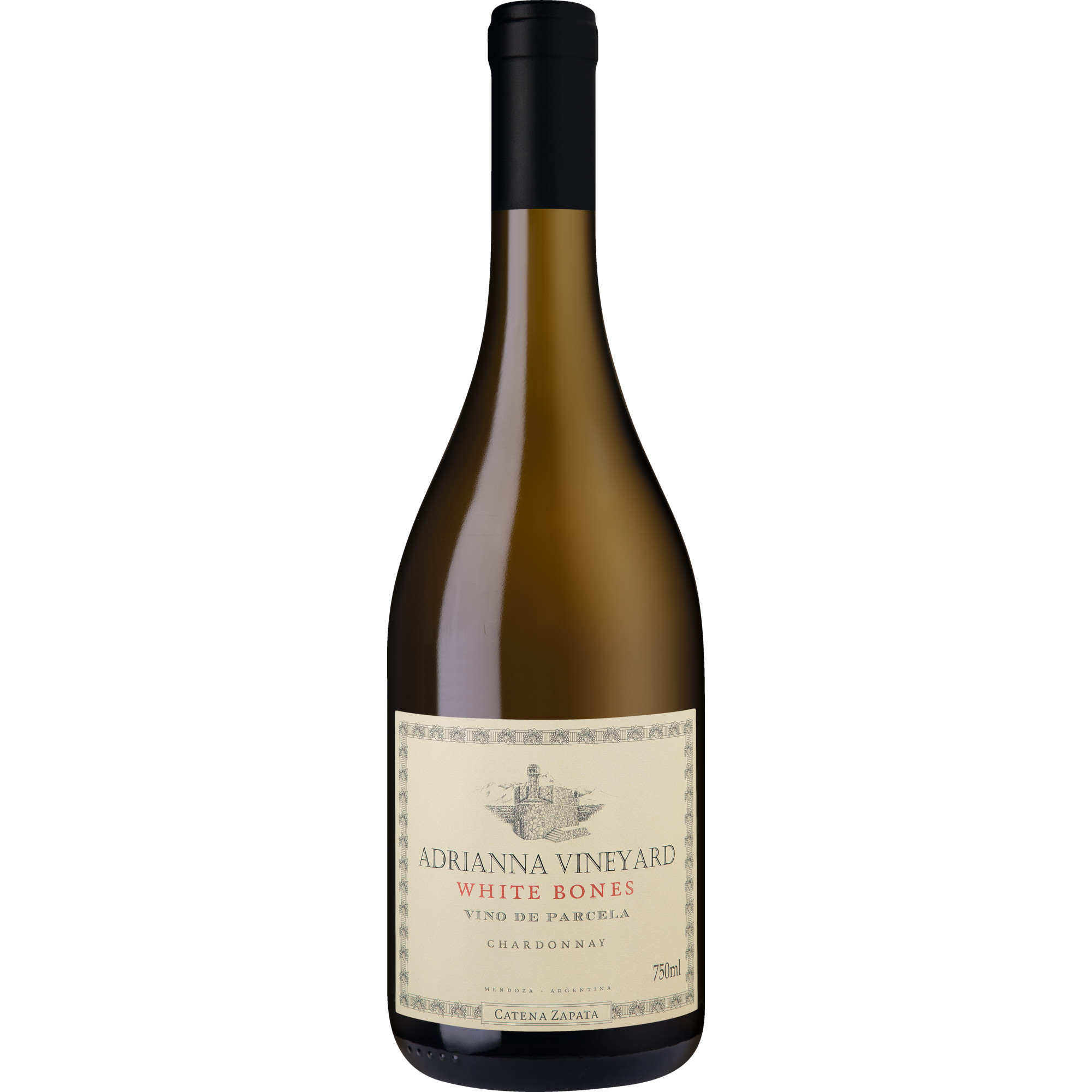 Adrianna White Bones Chardonnay, Mendoza, Mendoza, 2015, Weißwein