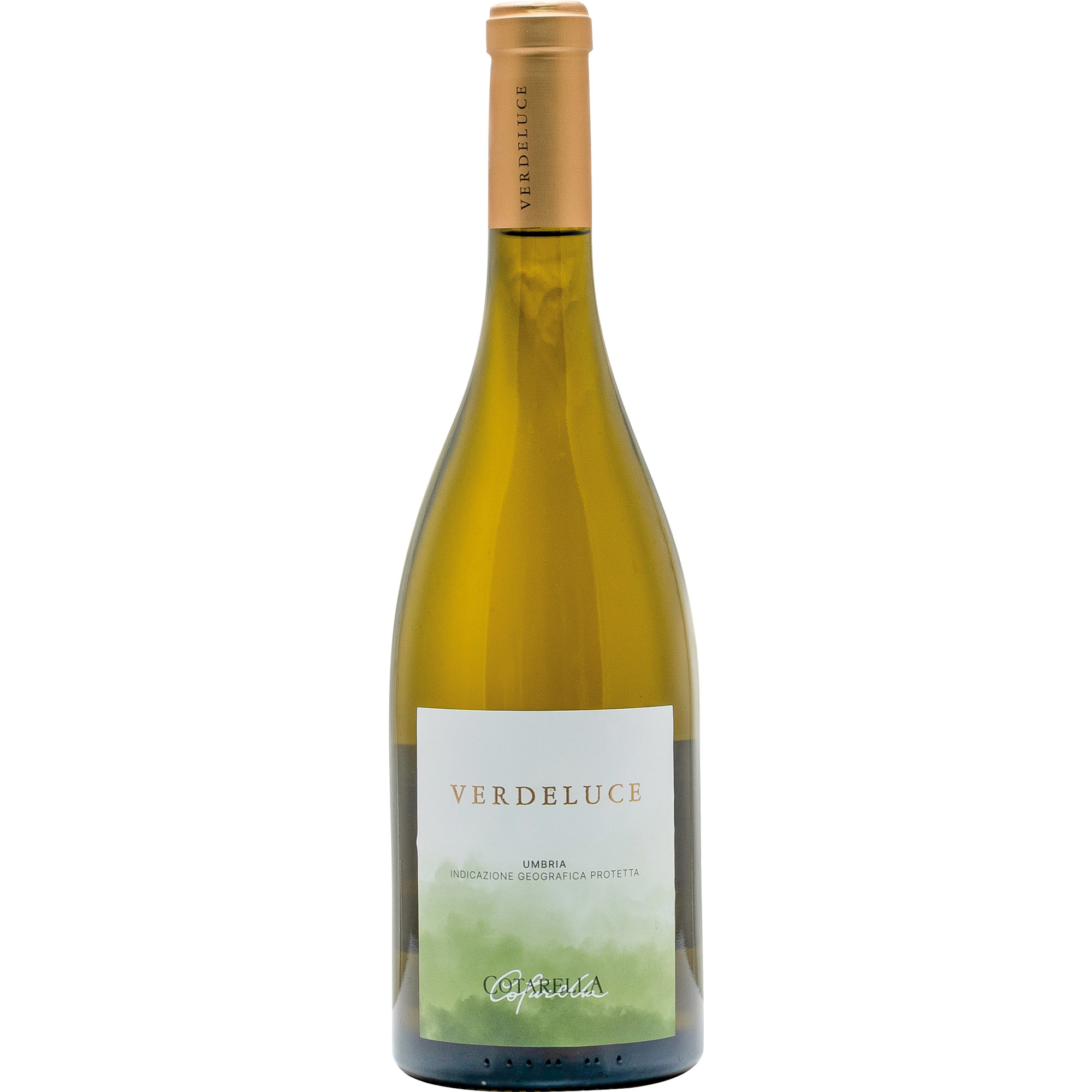 Verdeluce Bianco, Umbria IGP, Umbrien, 2024, Weißwein