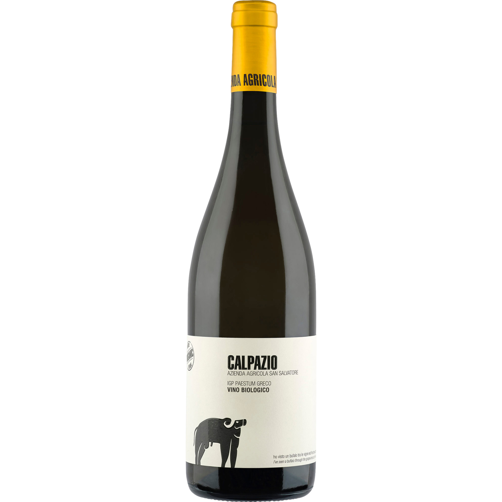 San Salvatore Calpazio, Paestum IGP, Kampanien, 2024, Weißwein