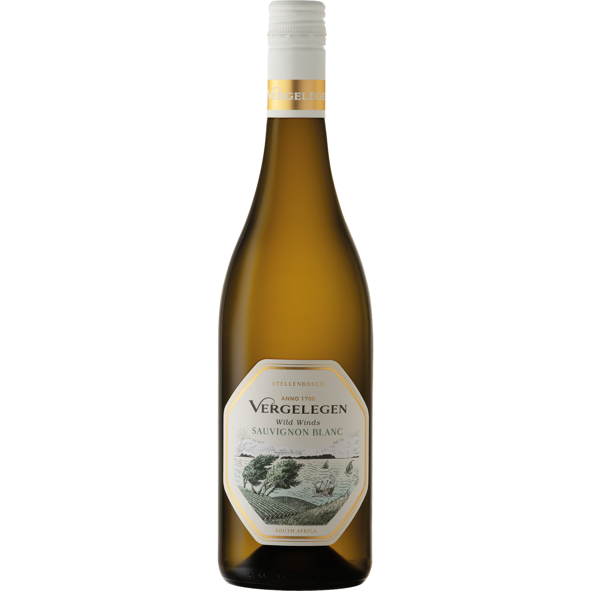 Vergelegen Wild Winds Sauvignon Blanc, Trocken, WO Stellenbosch, Western Cape, 2024, Weißwein
