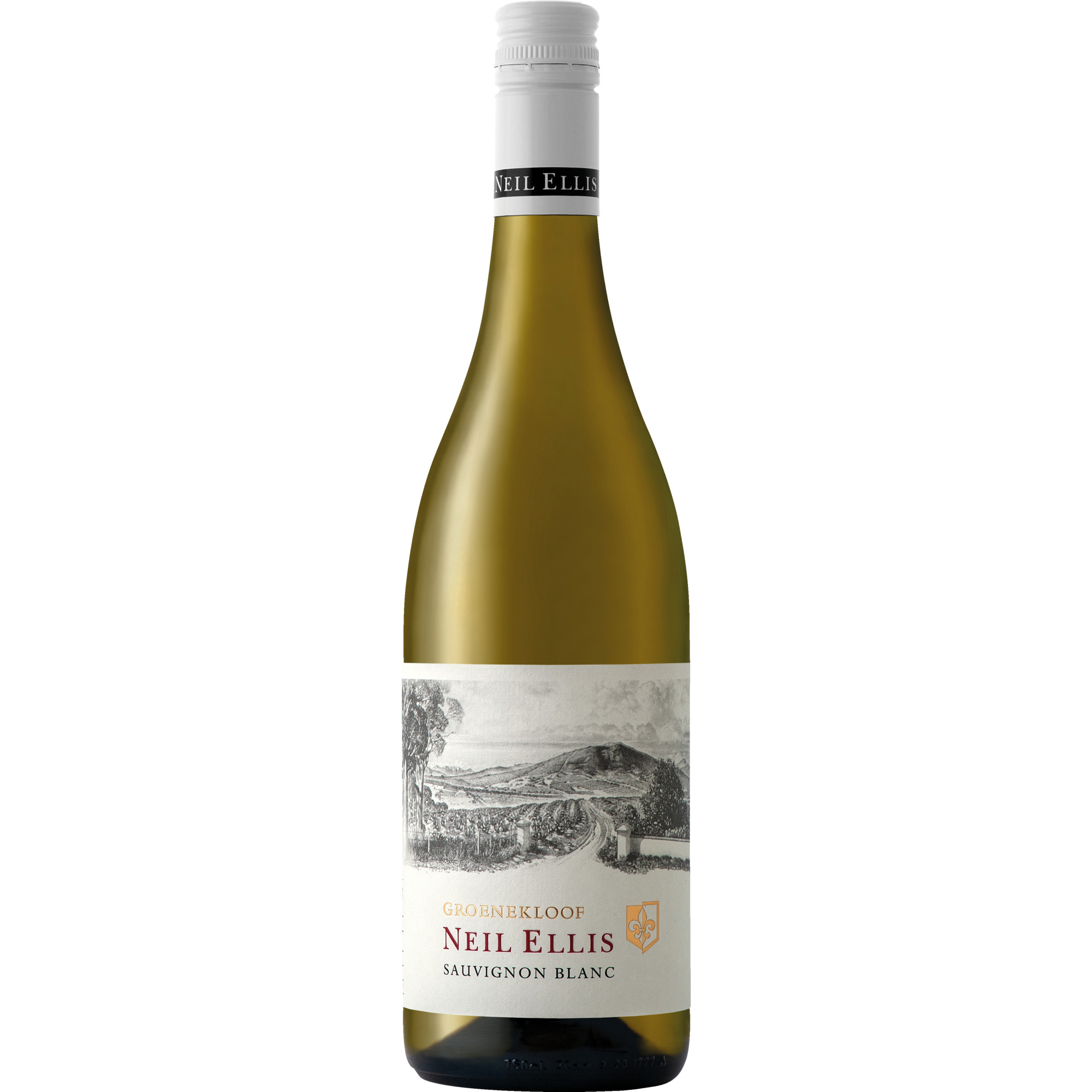 Groenkloof Sauvignon Blanc, Trocken, Western Cape,Darling, Western Cape, 2024, Weißwein