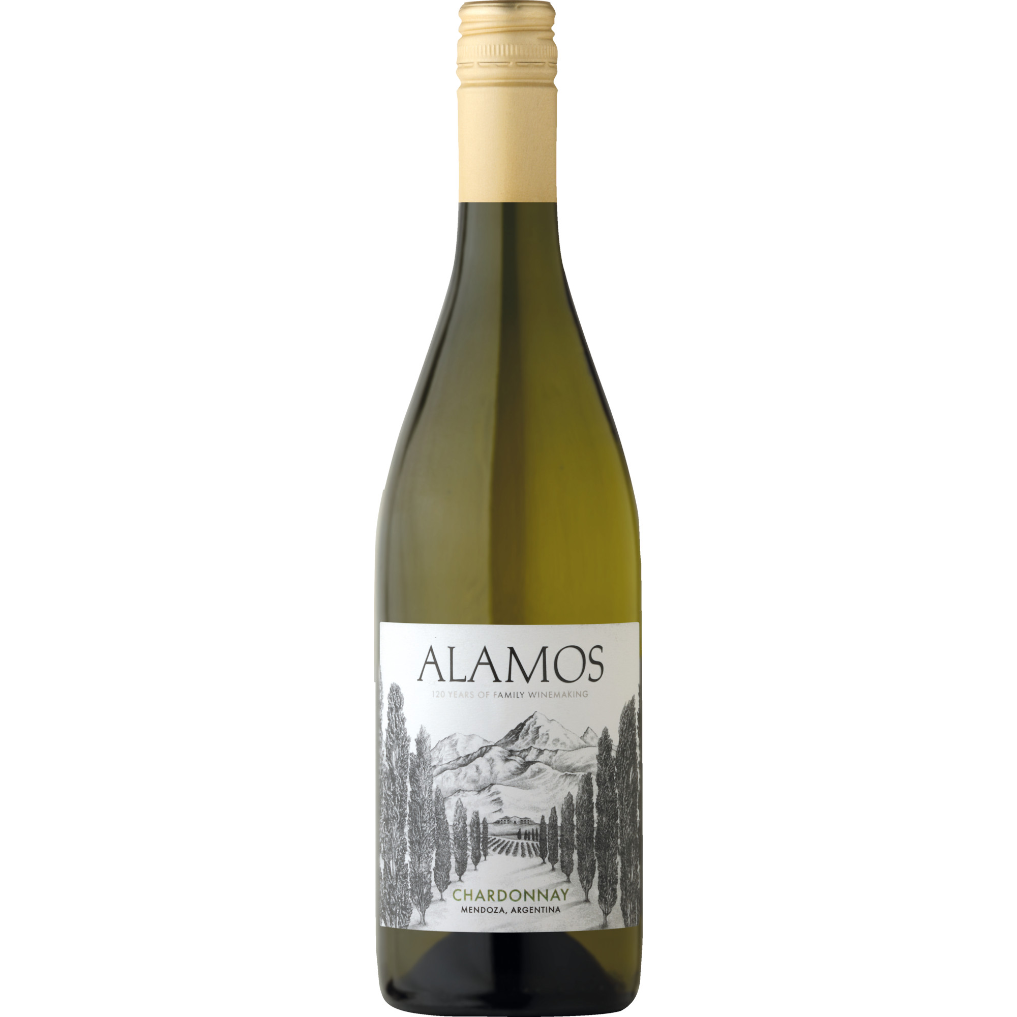 Alamos Chardonnay, Mendoza, Mendoza, 2024, Weißwein