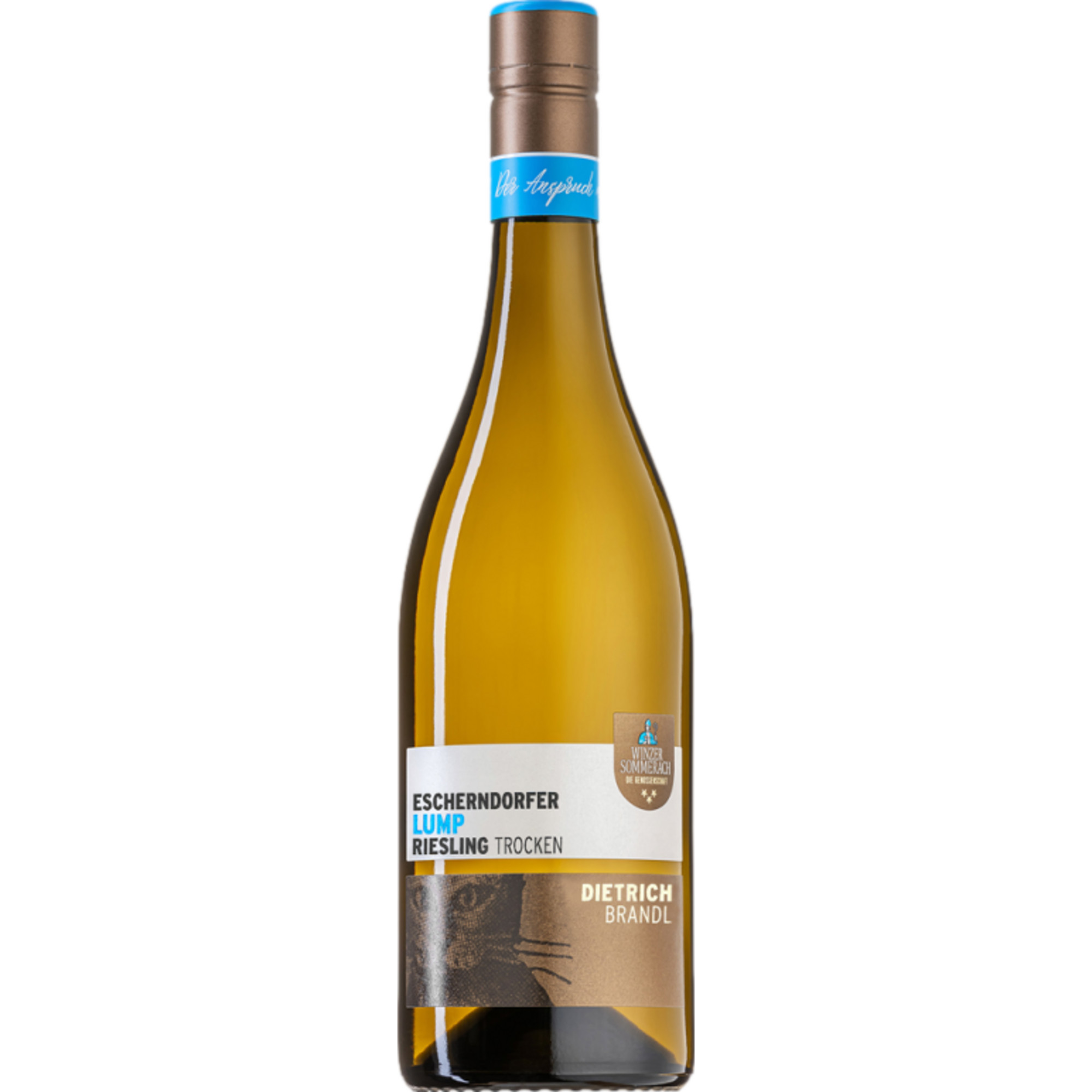 Escherndorfer Lump Riesling, Trocken, Franken, Franken, 2022, Weißwein