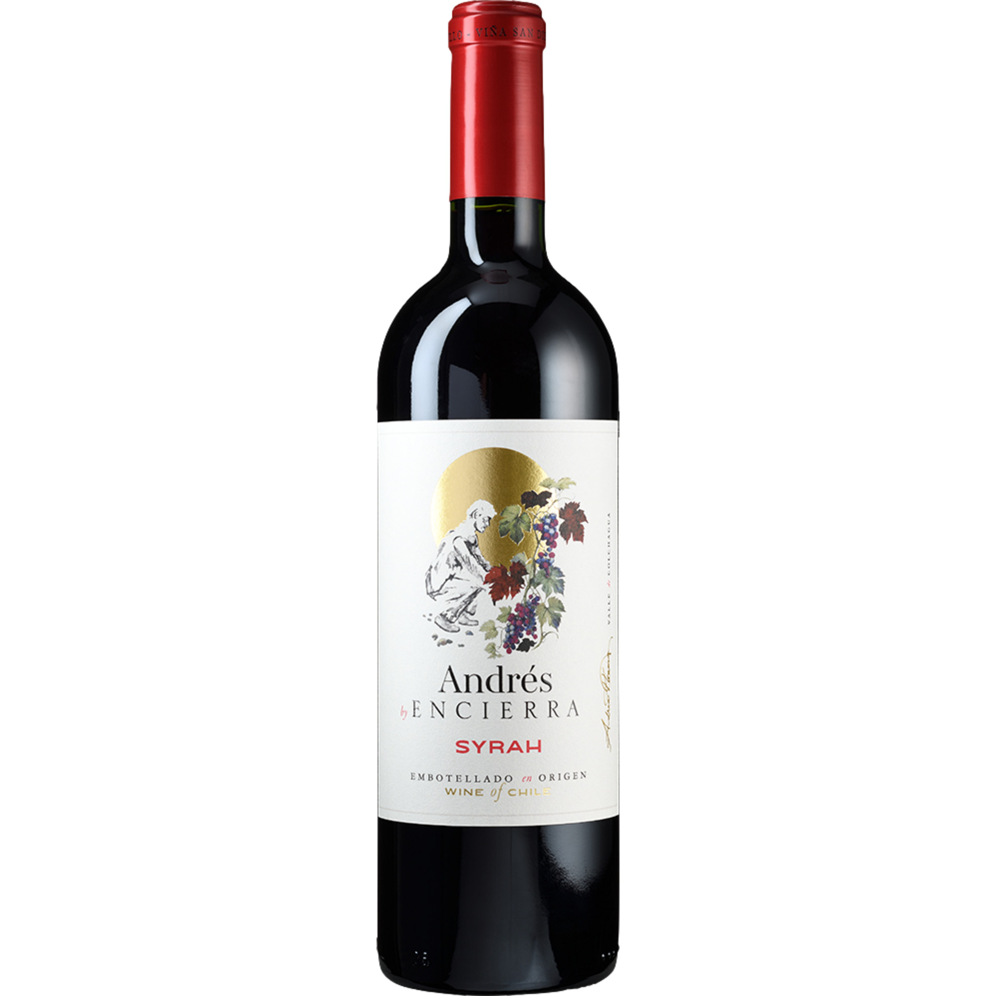 Andrés Syrah, Valle de Colchagua, Valle de Colchagua, 2023, Rotwein