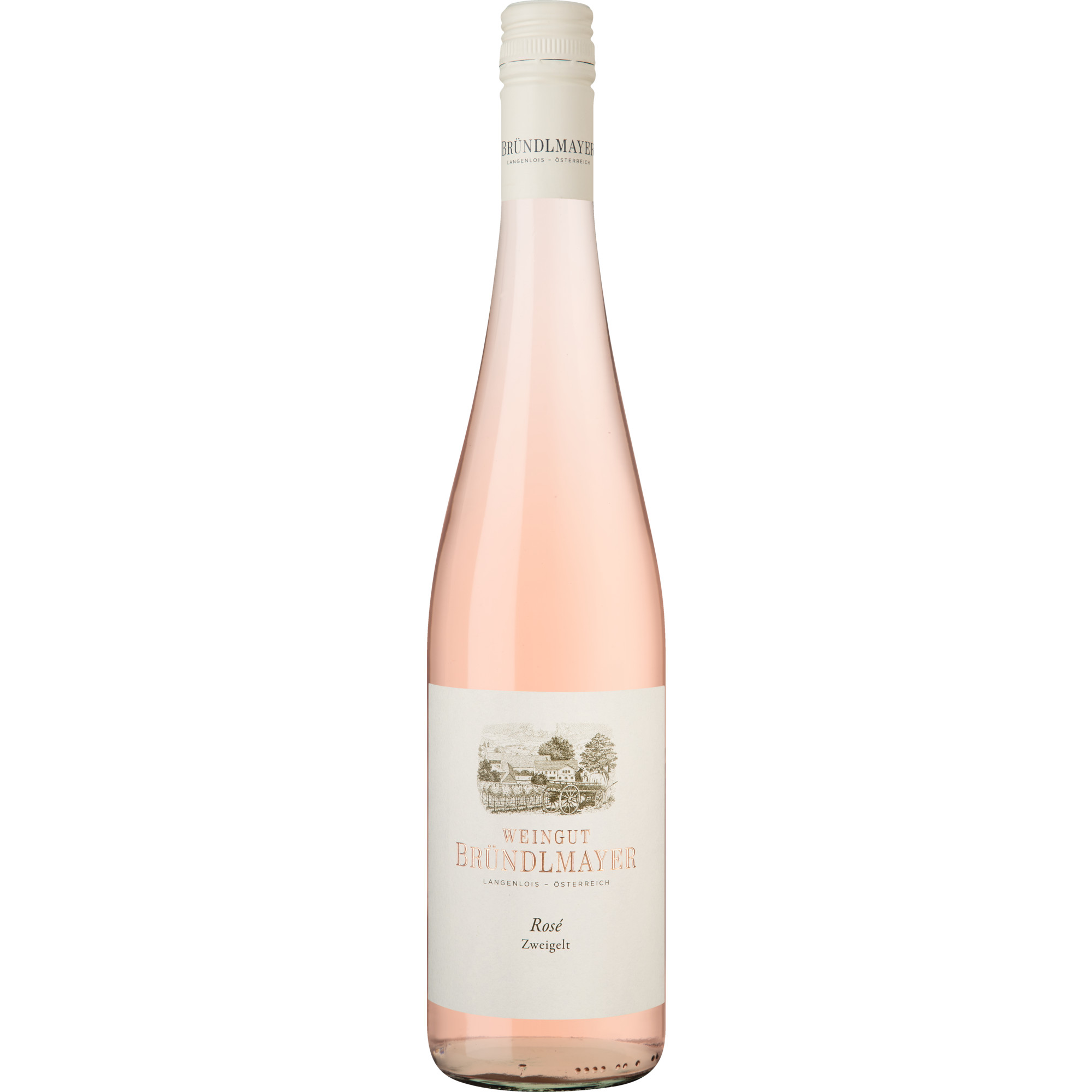 Zweigelt Rosé, Trocken, Niederösterreich, Niederösterreich, 2025, Roséwein
