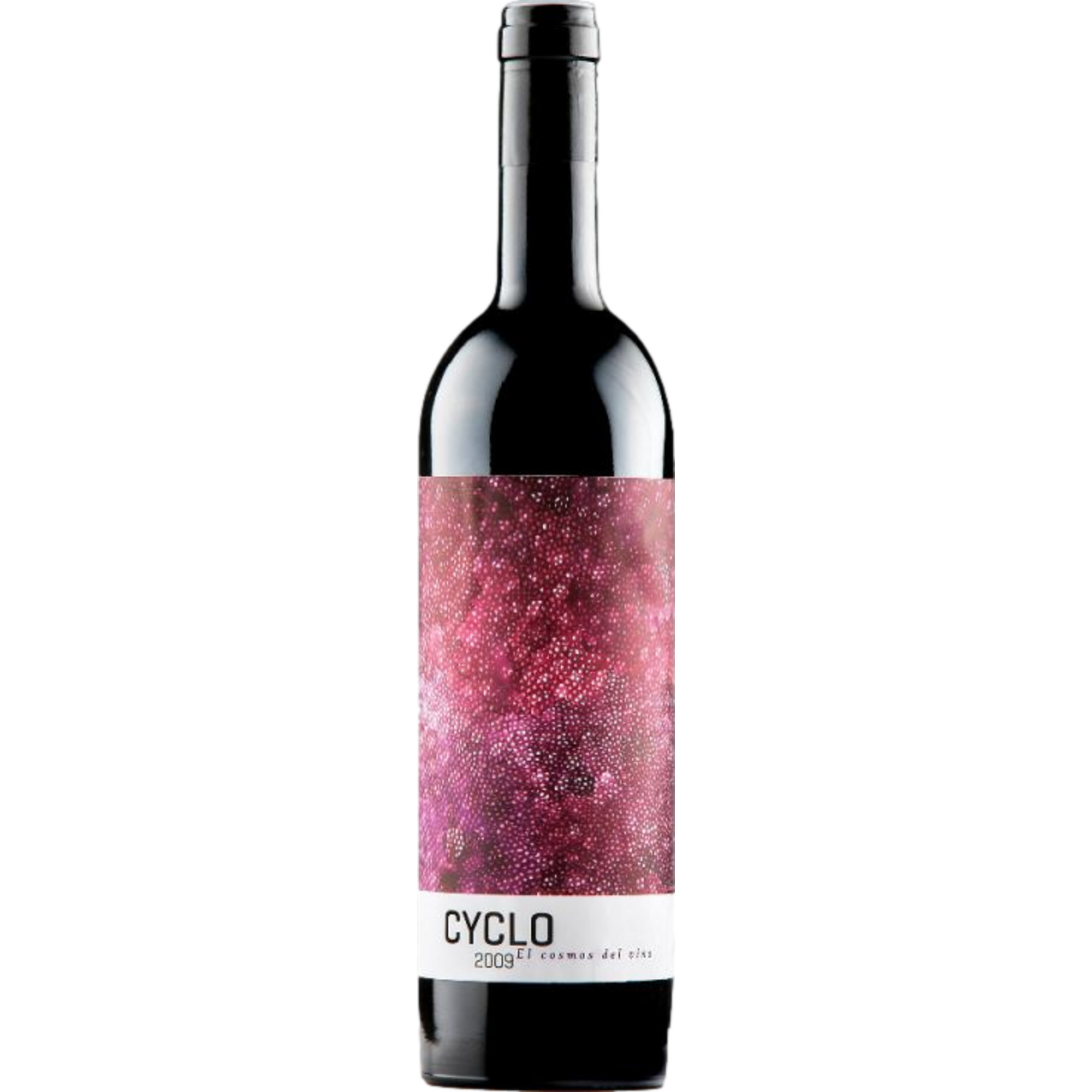 Bodega Peñalba Lopez Cyclo, Ribera del Duero DO, Kastilien - León, 2019, Rotwein