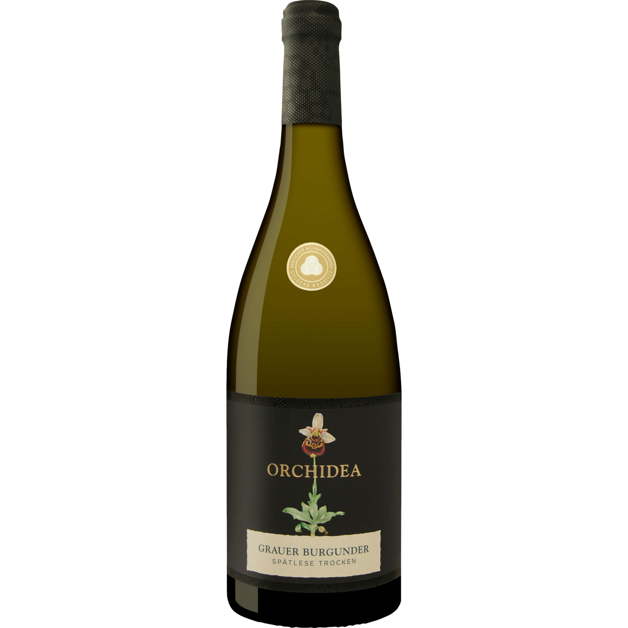 Limburg Grauer Burgunder Edition Orchidea, Trocken, Spätlese, Baden, Baden, 2024, Weißwein