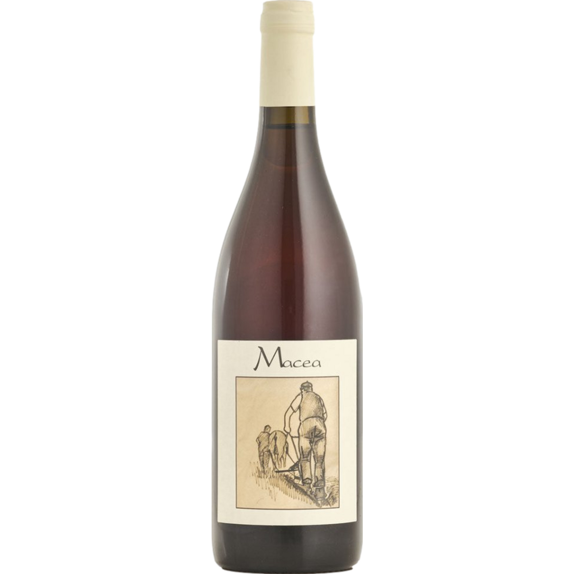 Macea Pinot Grigio, Toscana IGT, Toskana, 2021, Roséwein