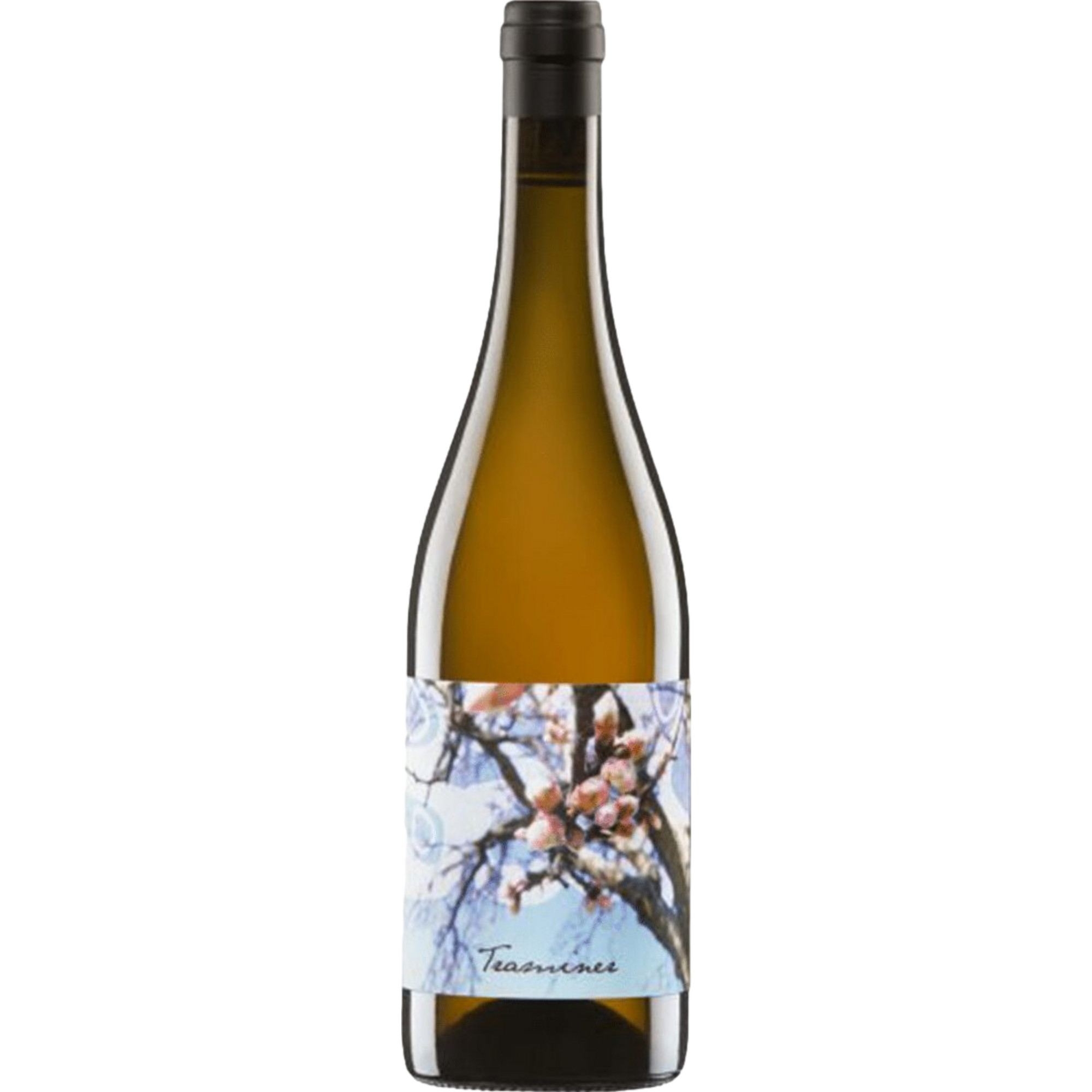 Beck Traminer Bio, Trocken, Burgenland, Burgenland, 2024, Weißwein