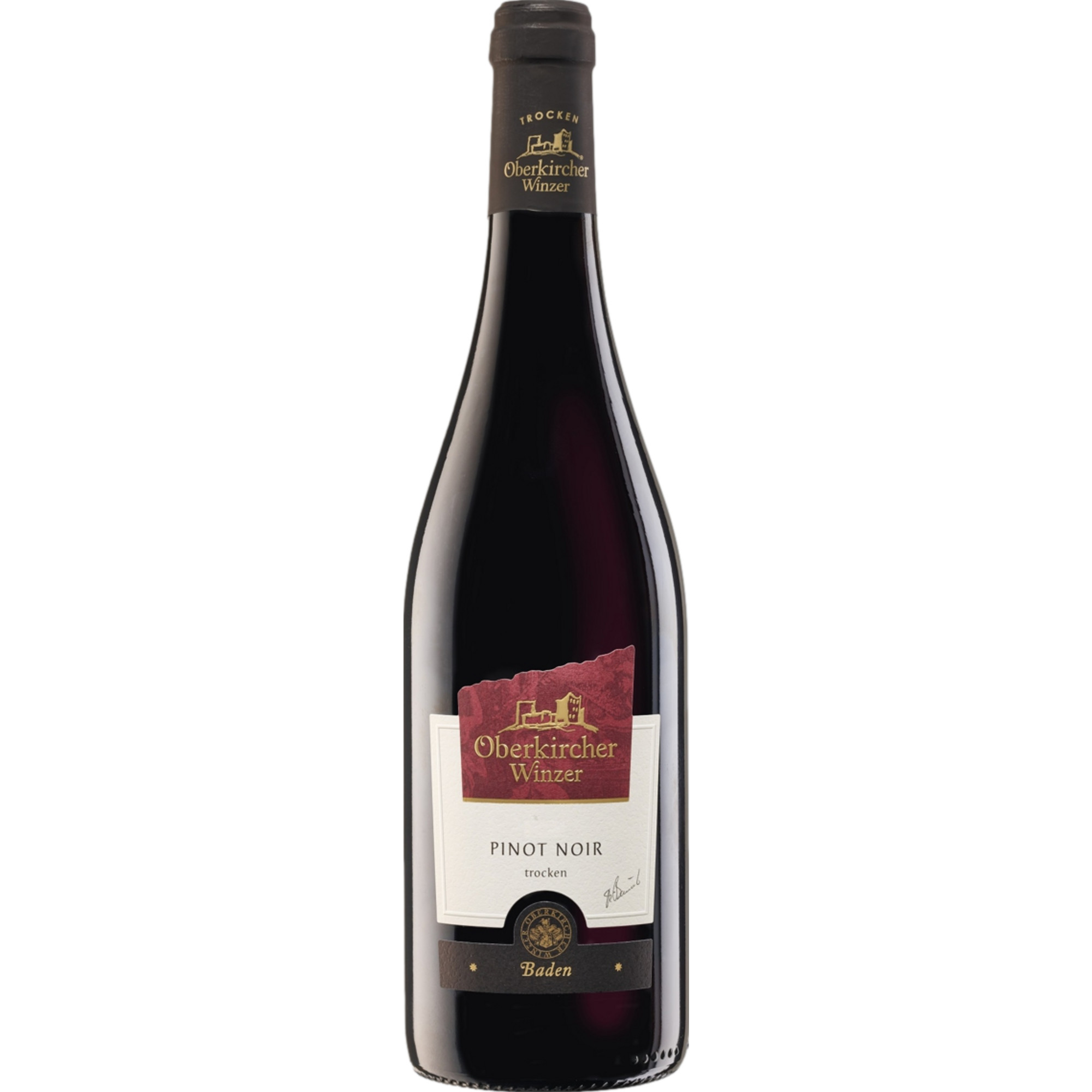Oberkircher Pinot Noir, Trocken, Baden, Baden, 2023, Rotwein
