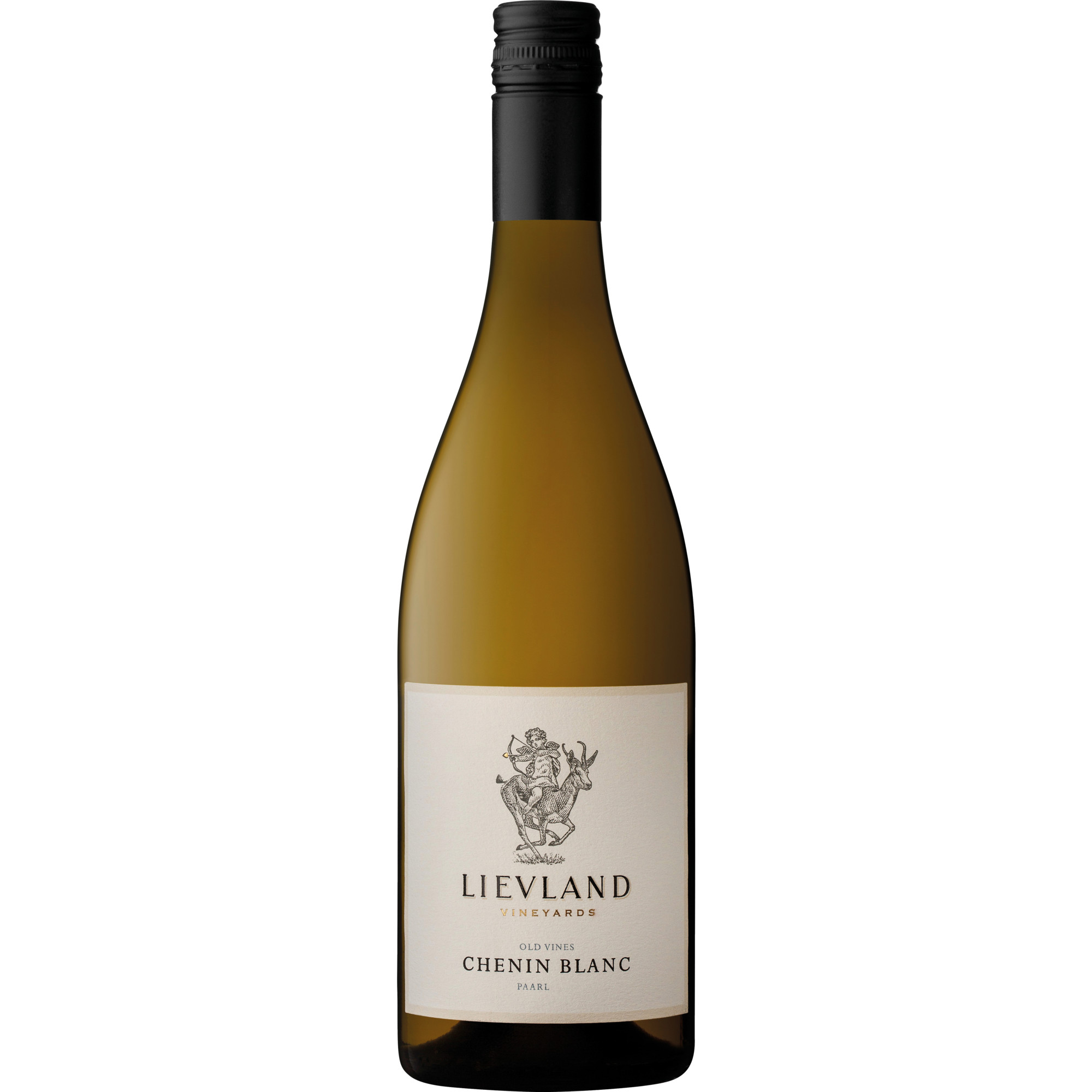 Bushvine Old Vines Chenin Blanc, WO Paarl, Western Cape, 2025, Weißwein
