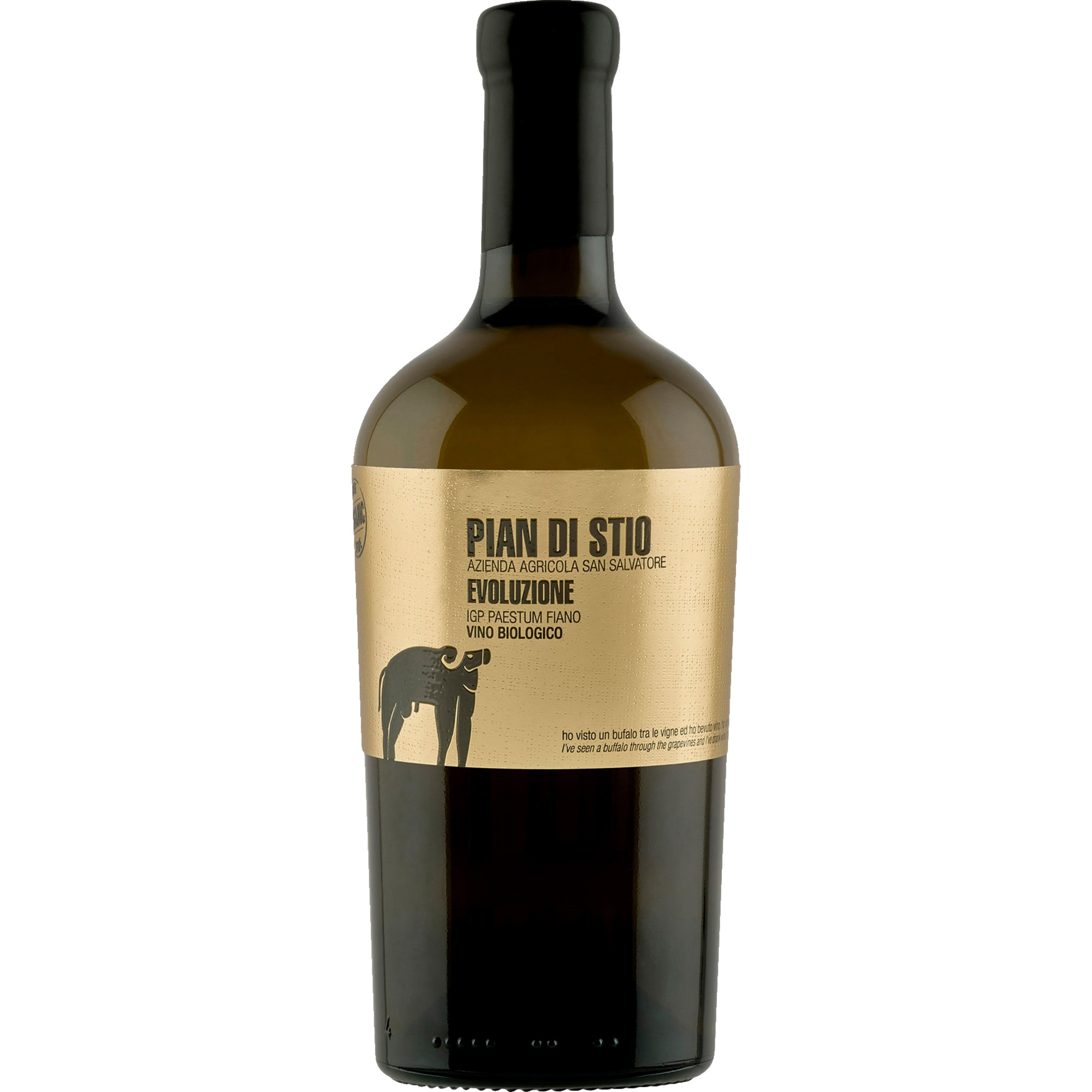 San Salvatore Piani di Stio Evoluzione Fiano, Paestum IGP, Kampanien, 2020, Weißwein