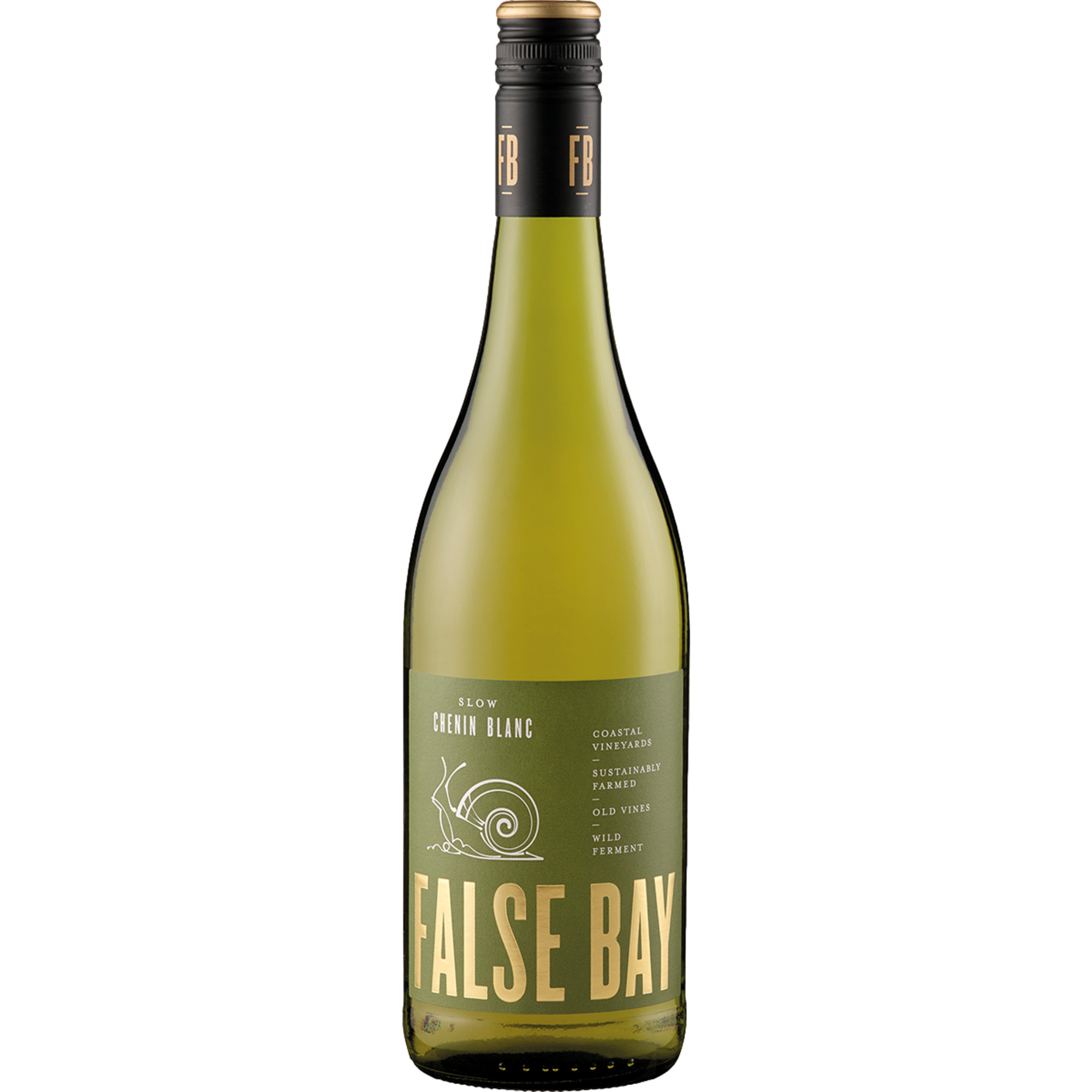 False Bay Slow Chenin Blanc, WO Coastal Region, Wine of South Africa, 2025, Weißwein