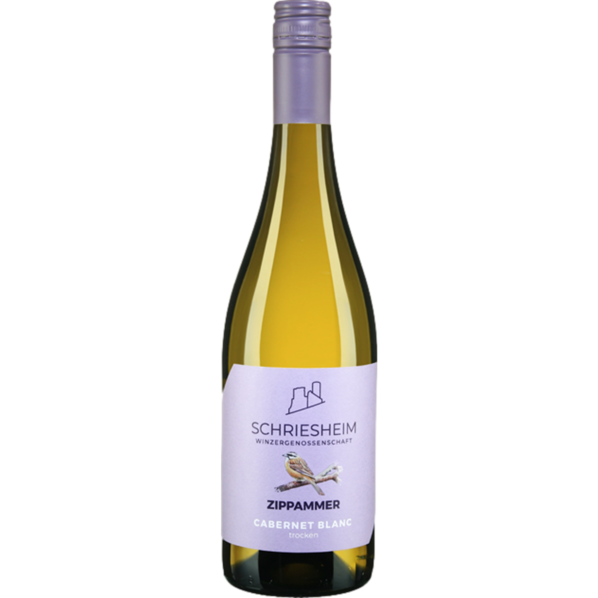 Schriesheimer Zippammer Cabernet Blanc, Trocken, Baden, Baden, 2023, Weißwein