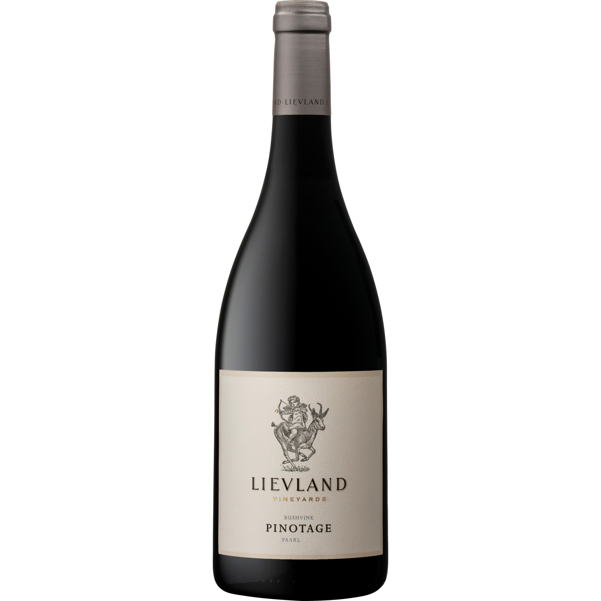 Lievland Pinotage Bushvine, WO Stellenbosch, Western Cape, 2024, Rotwein