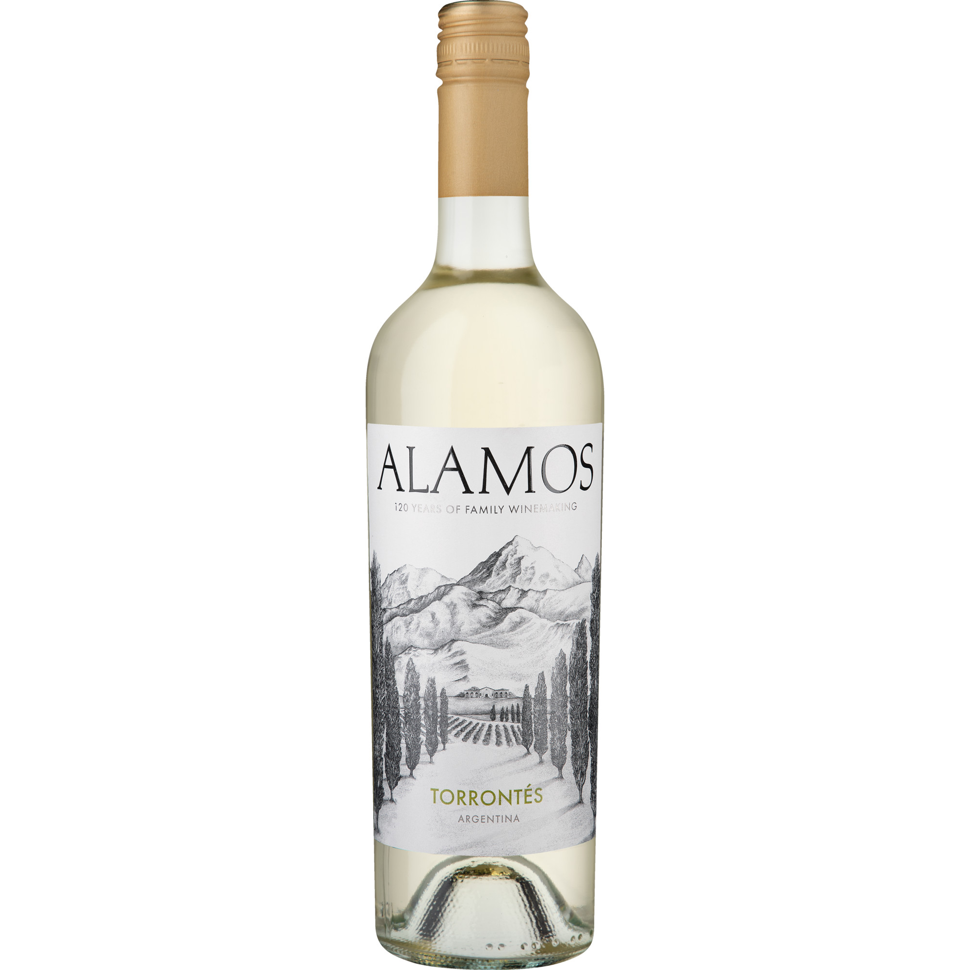 Alamos Torrontes, Mendoza,Vallée de Uco, Mendoza, 2025, Weißwein