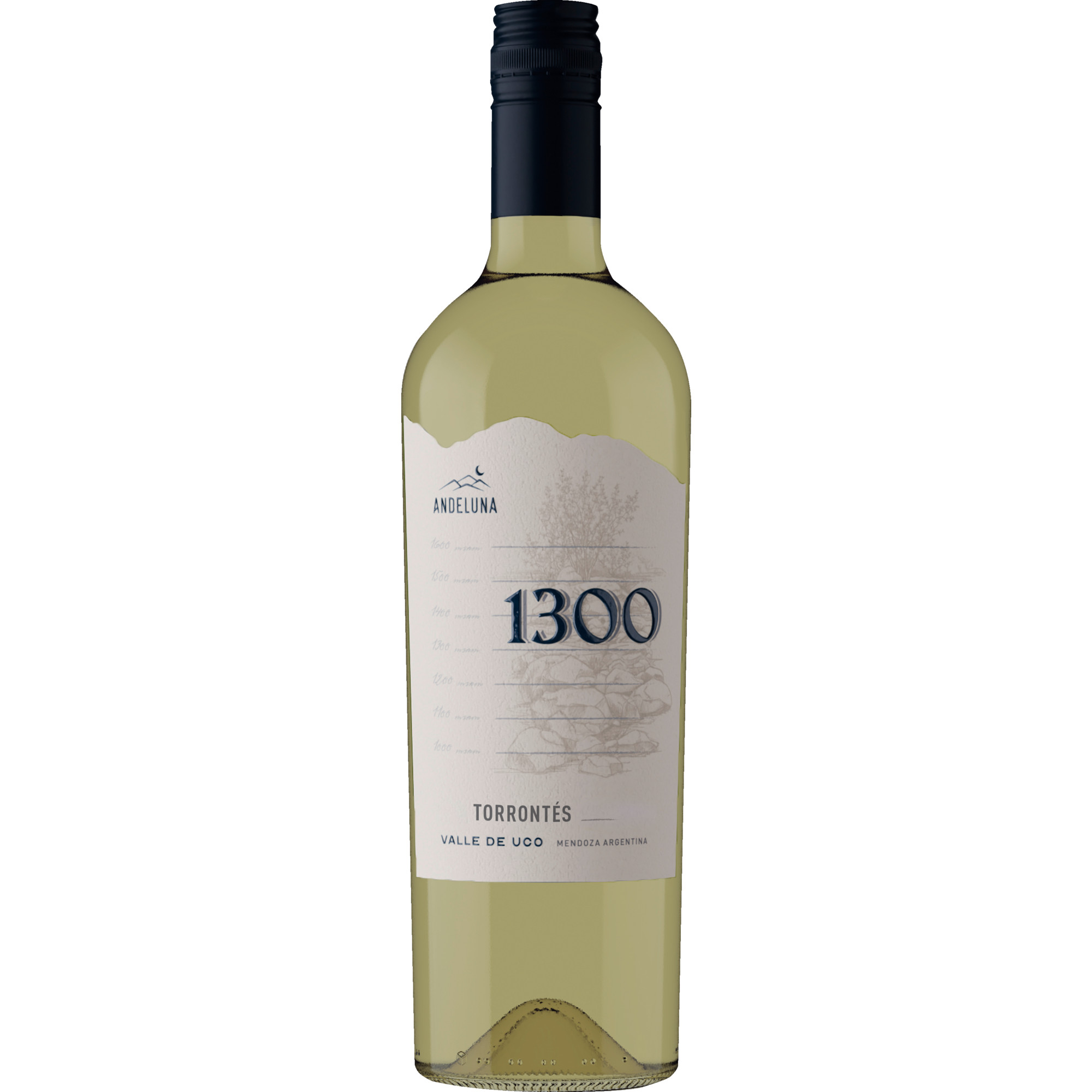 Andeluna Cellars 1300 Torrontés, Valle de Uco, Mendoza, Mendoza, 2025, Weißwein