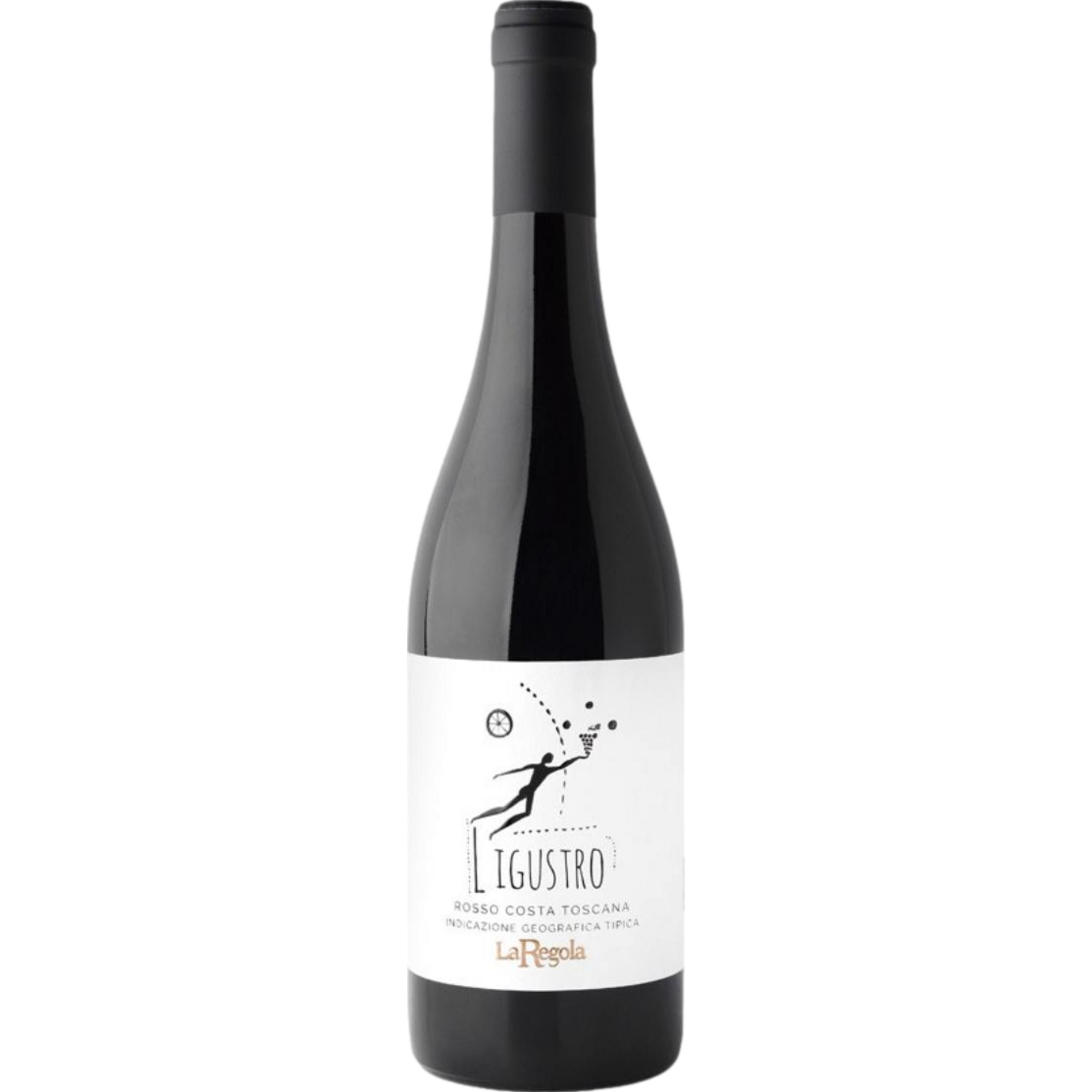 Ligustro Costa Toscana Rosso
