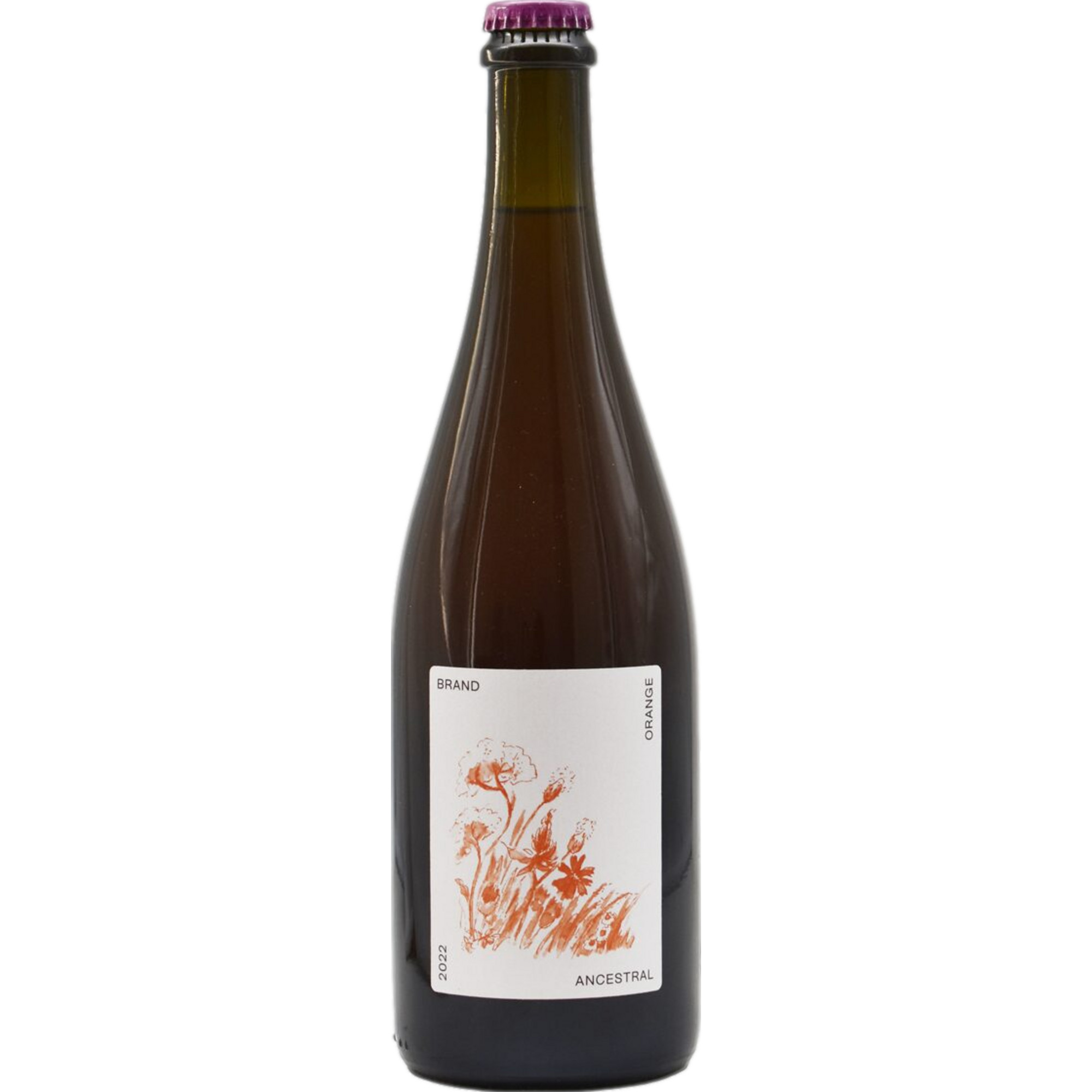 Brand Ancestral Orange Bio, Trocken, Deutscher Perlwein, Pfalz, 2022, Weißwein