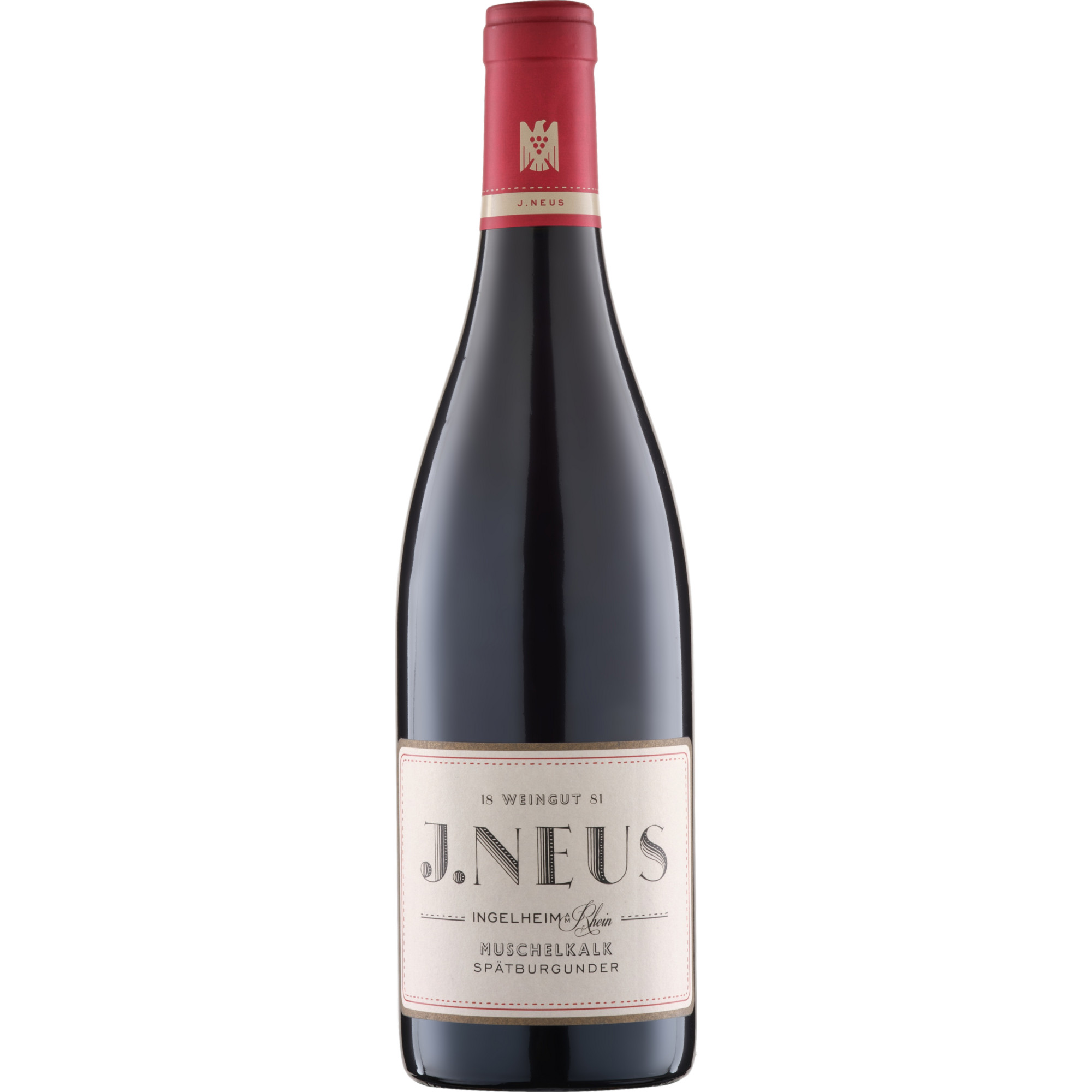 Muschelkalk Spätburgunder, Trocken, Rheinhessen, Rheinhessen, 2022, Rotwein