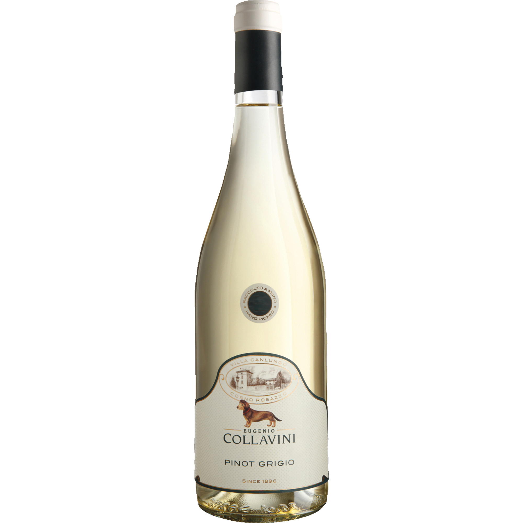 Collavini Pinot Grigio, Friaul IGT, Friaul, 2025, Weißwein