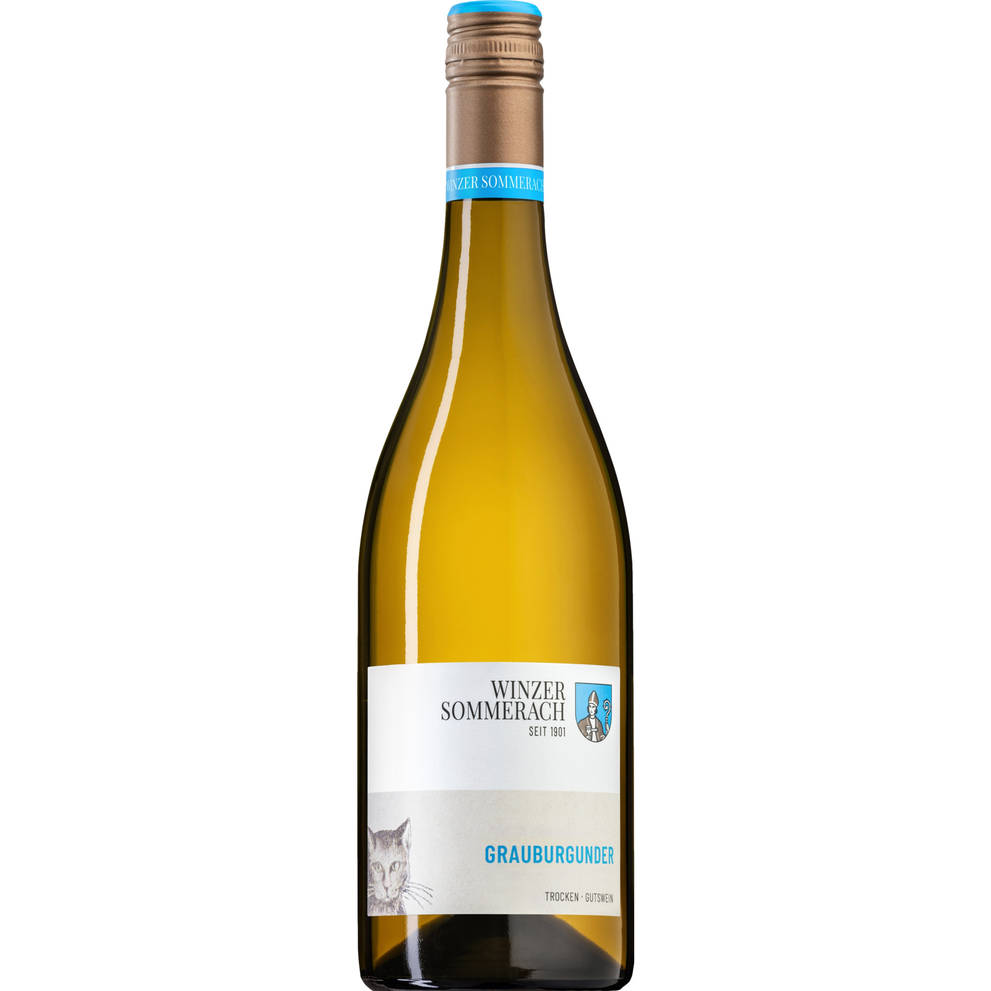 Winzer Sommerach Grauburgunder, Trocken, Franken, Franken, 2025, Weißwein