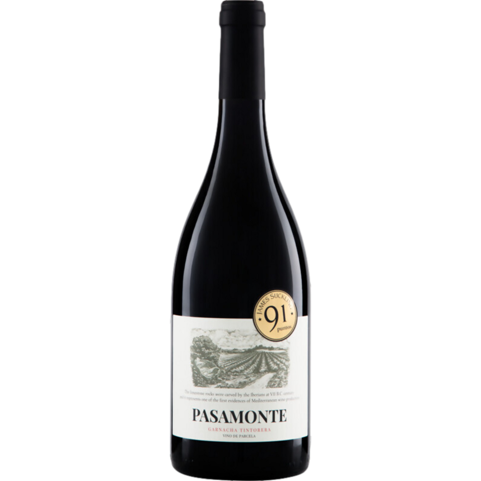 Vegalfaro Pasamonte Los Balagueses Bio, Utiel-Requena DO, Utiel-Requena D.O., 2021, Rotwein