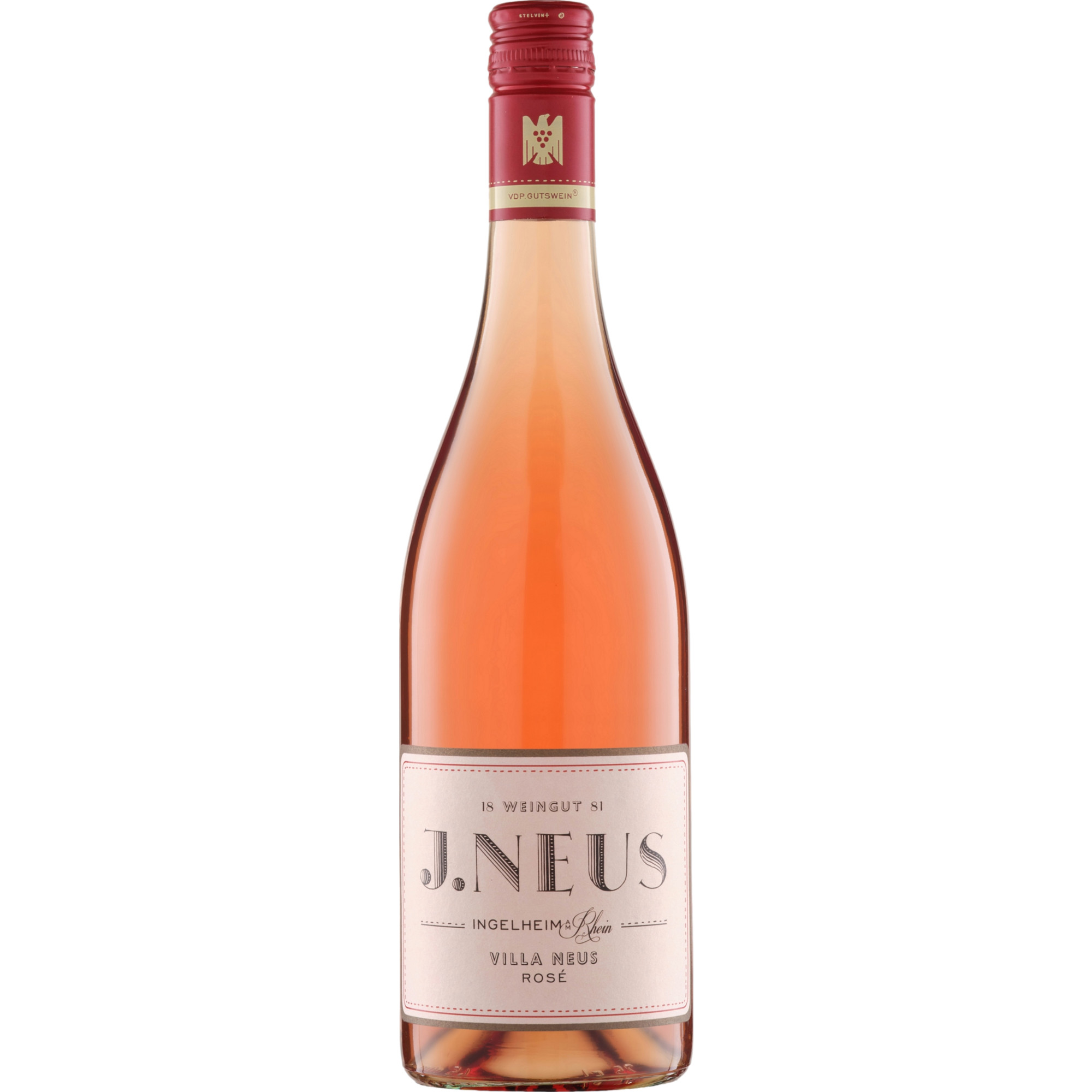 Villa Neus Rosé, Halbtrocken, Rheinhessen, Rheinhessen, 2023, Roséwein