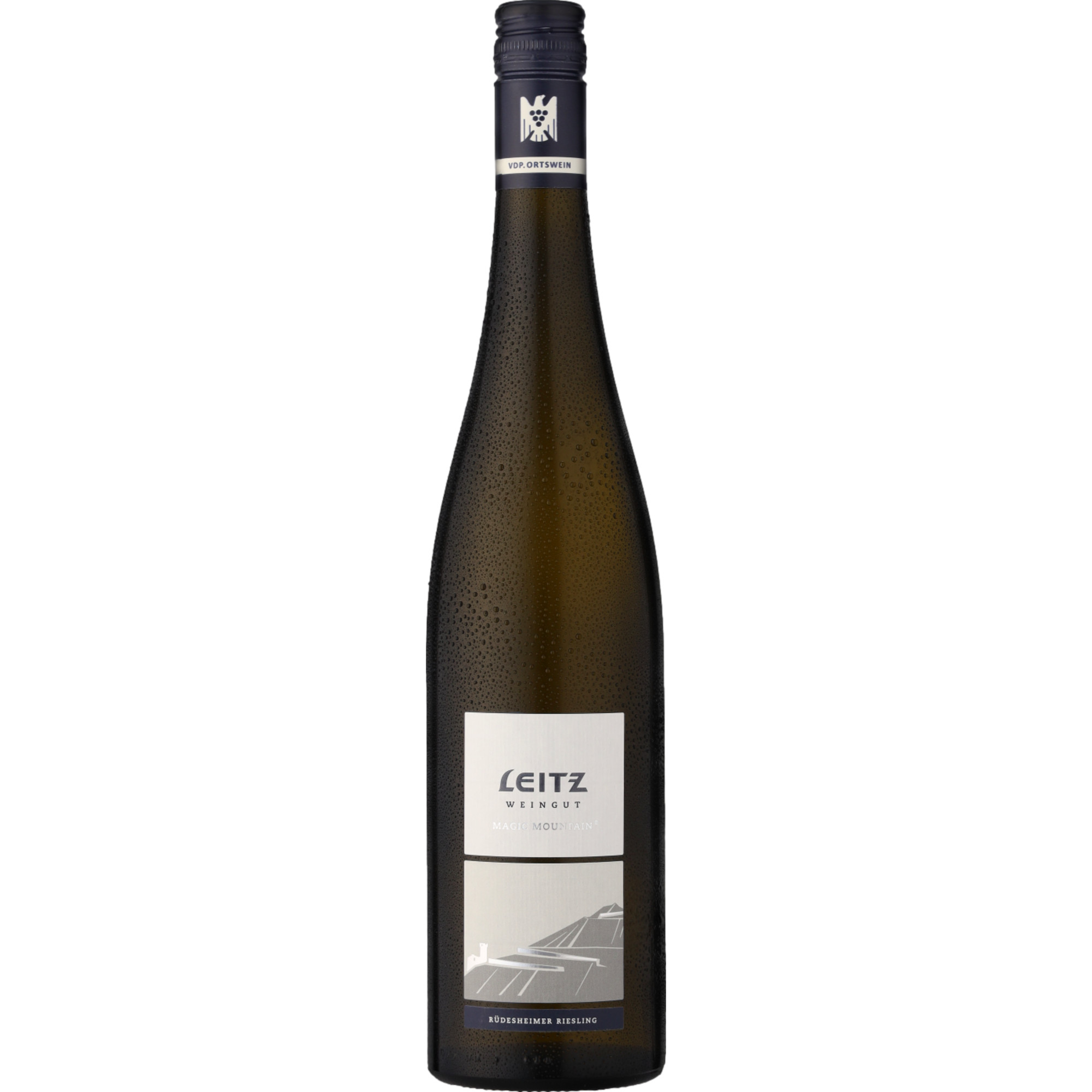 Leitz Magic Mountain Riesling Rüdesheim, Trocken, Rheingau, Rheingau, 2024, Weißwein