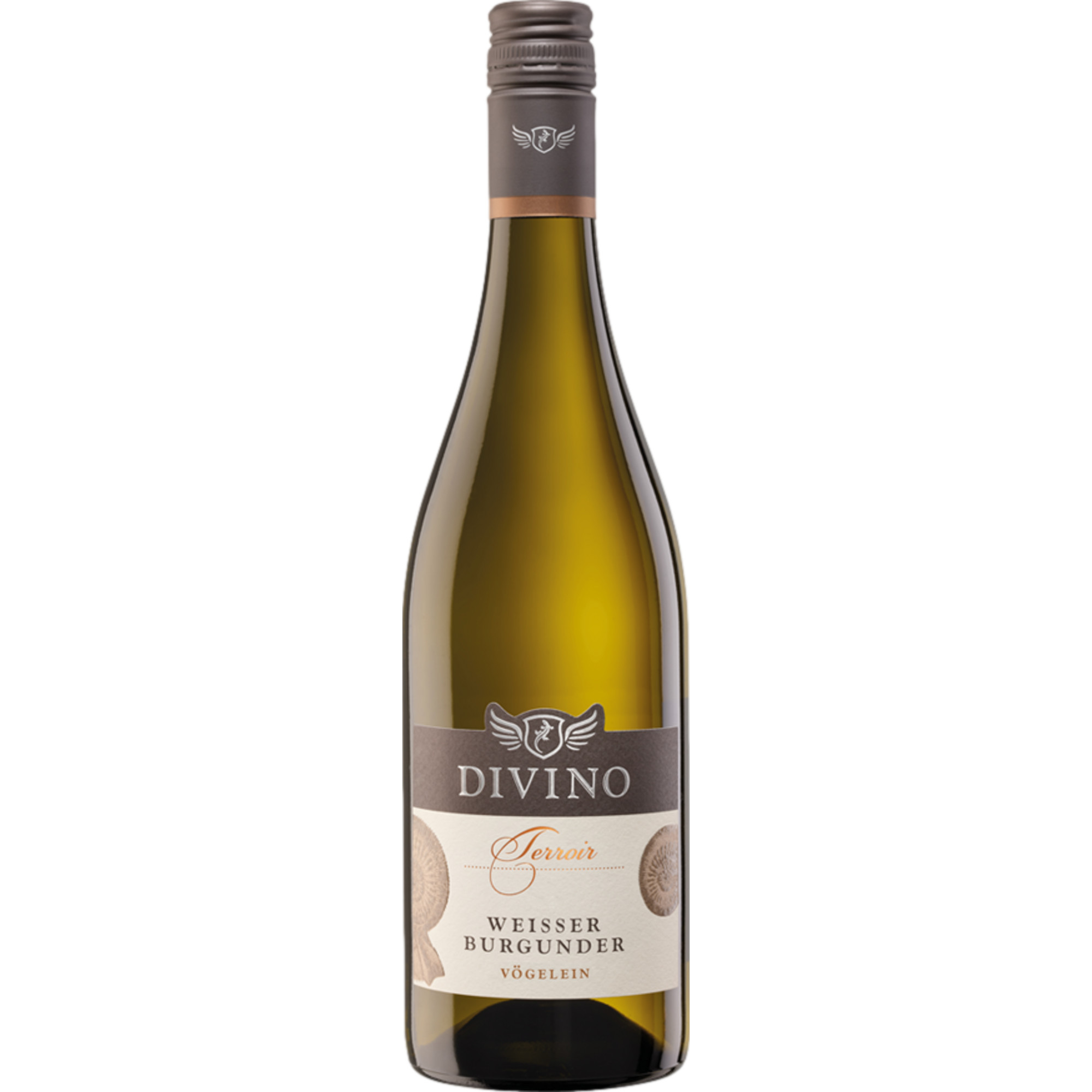Divino Terroir Vögelein Weisser Burgunder, Trocken, Franken, Franken, 2025, Weißwein