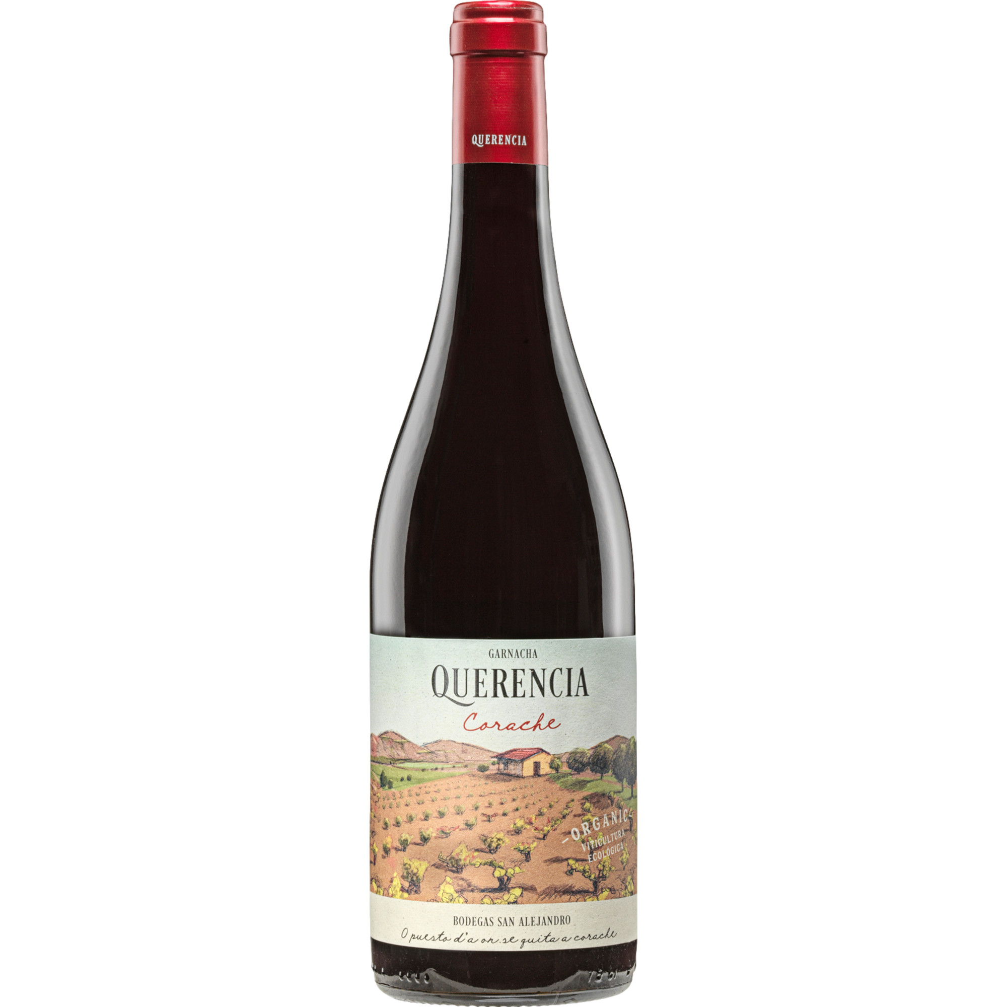 Querencia Corache, Calatayud DO, Aragonien, 2024, Rotwein